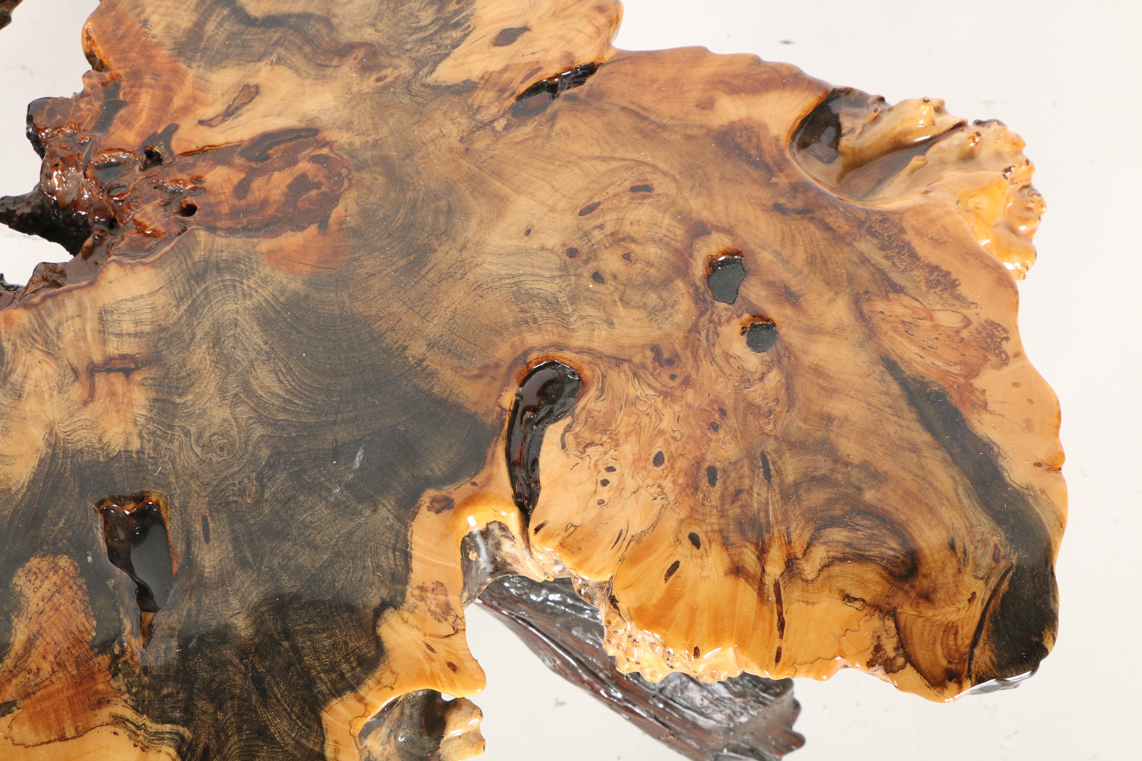 Epoxied Buckeye Burl Coffee Table by Wheeler