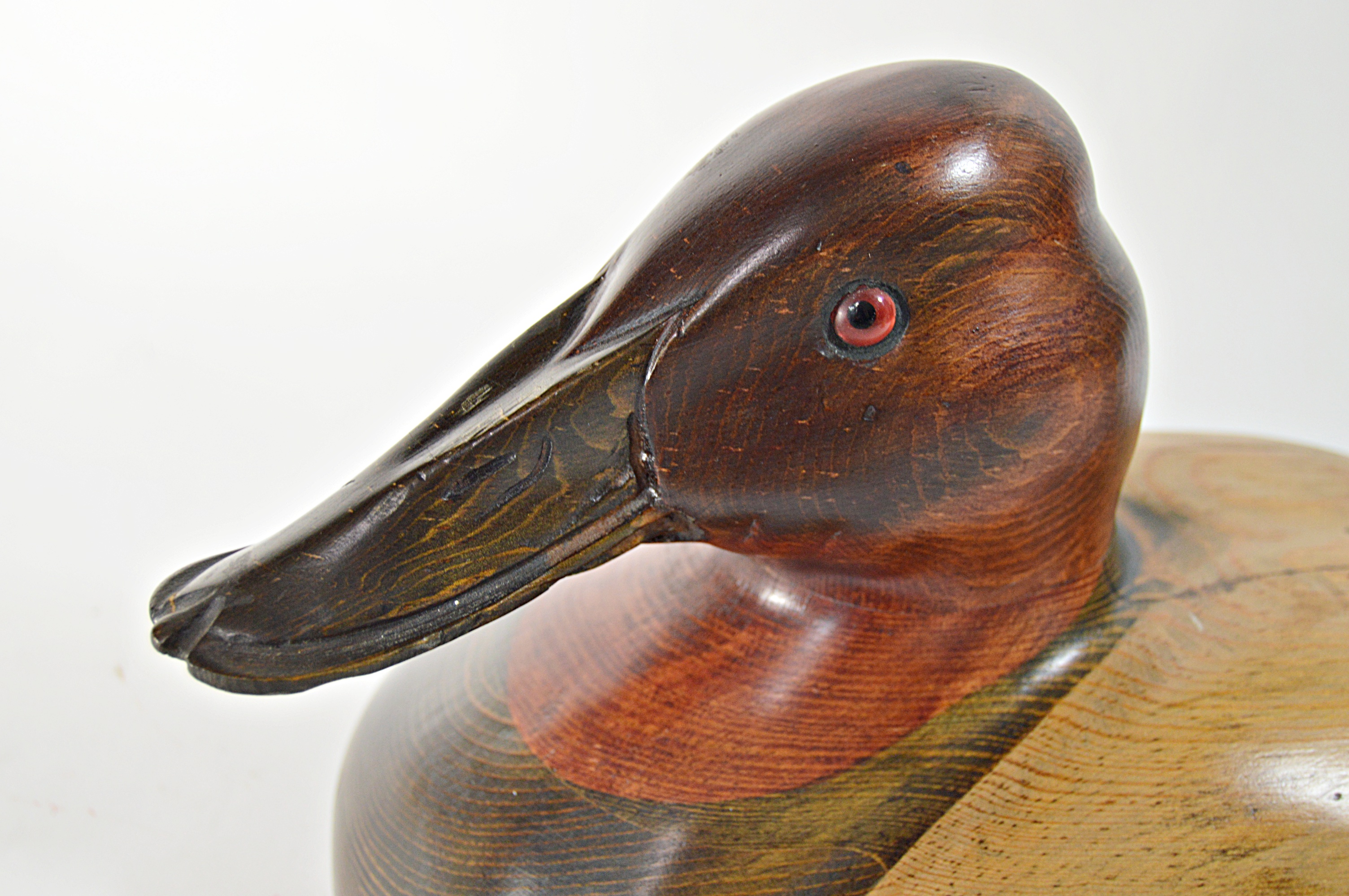 Tom Taber "Ducks Unlimited" Horse Canvasback Duck Wood Carving