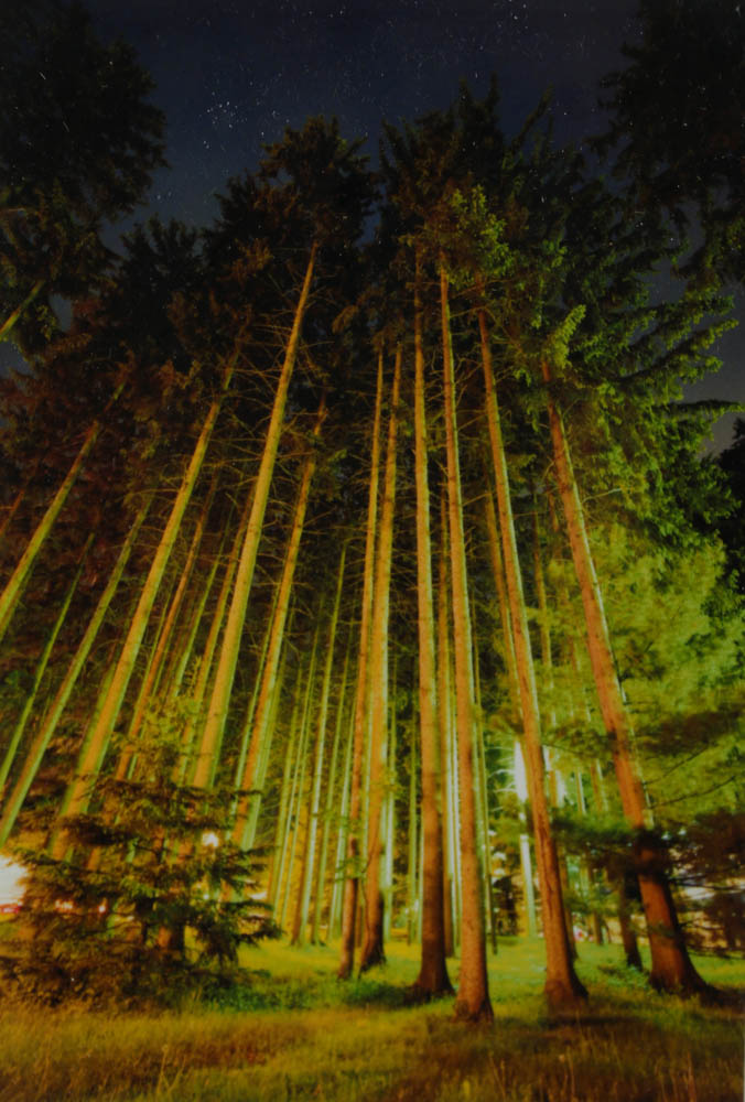 Marble and Resin Cast "My Brother's Frame" by Harry Allen