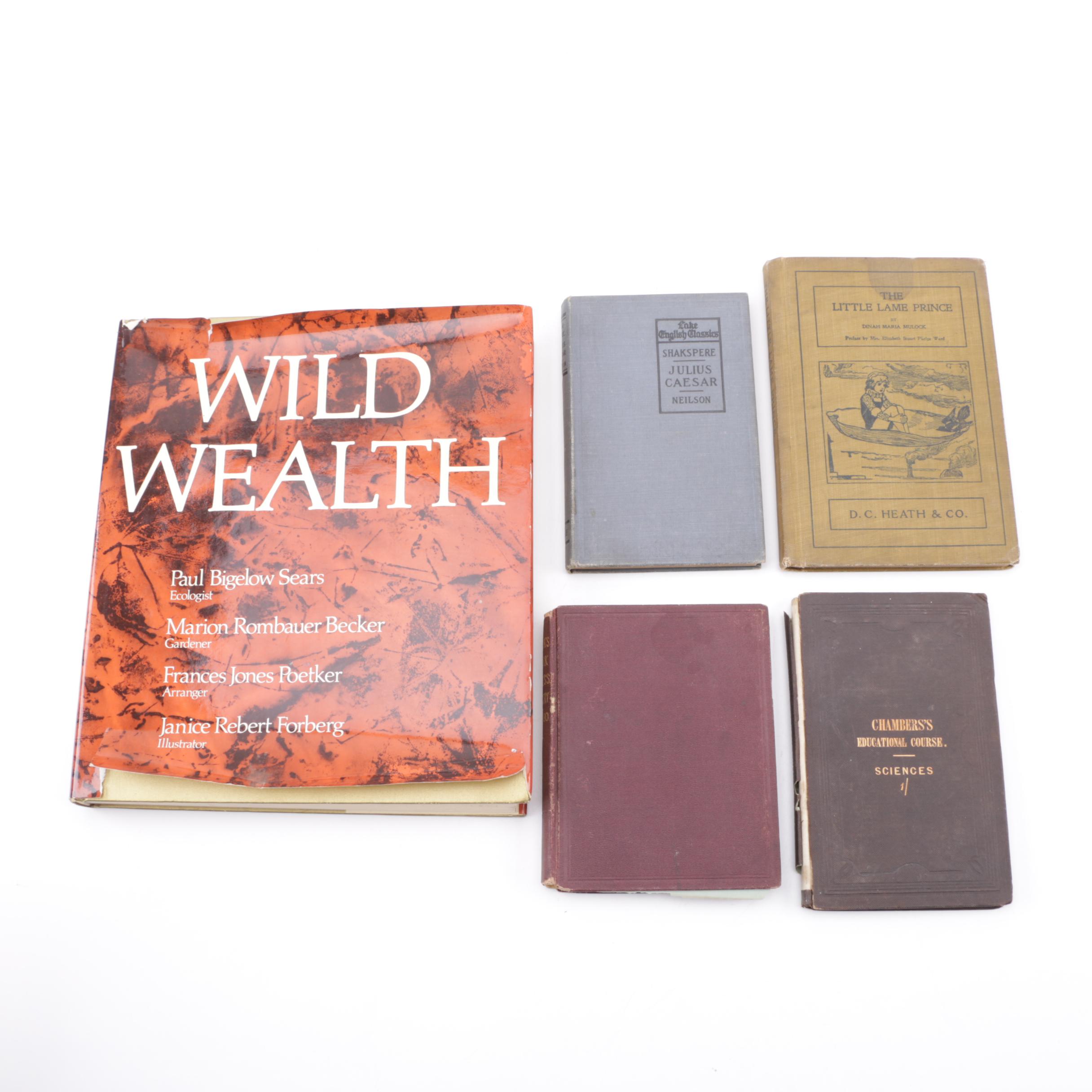 Collection of Vintage and Antique Books