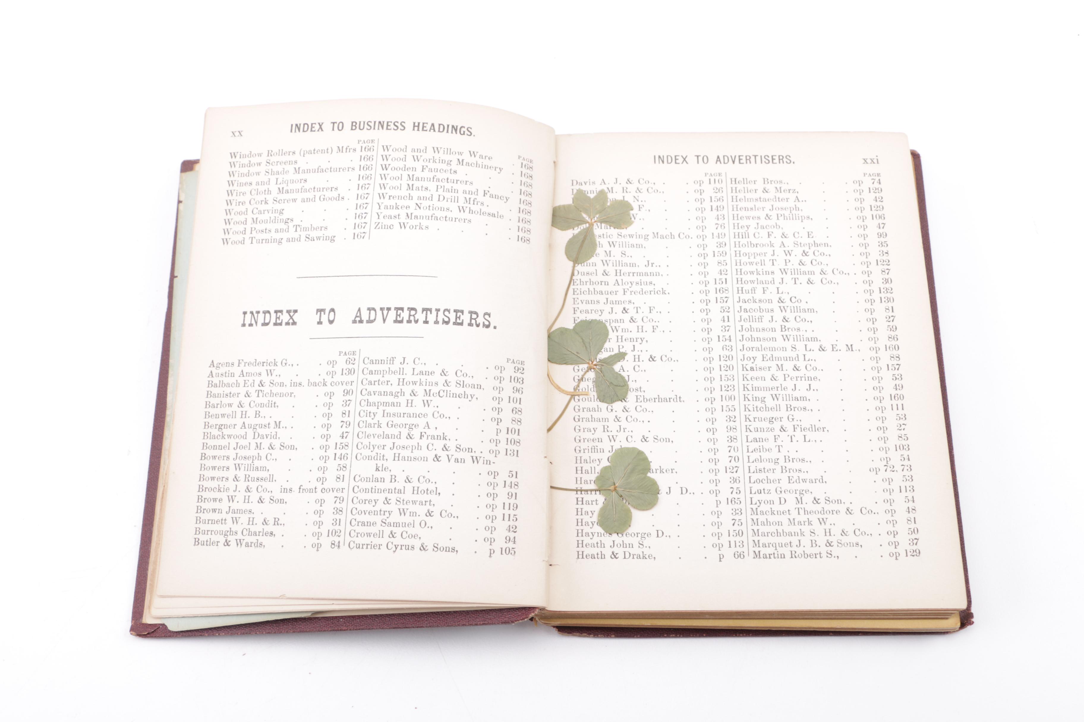 Collection of Vintage and Antique Books