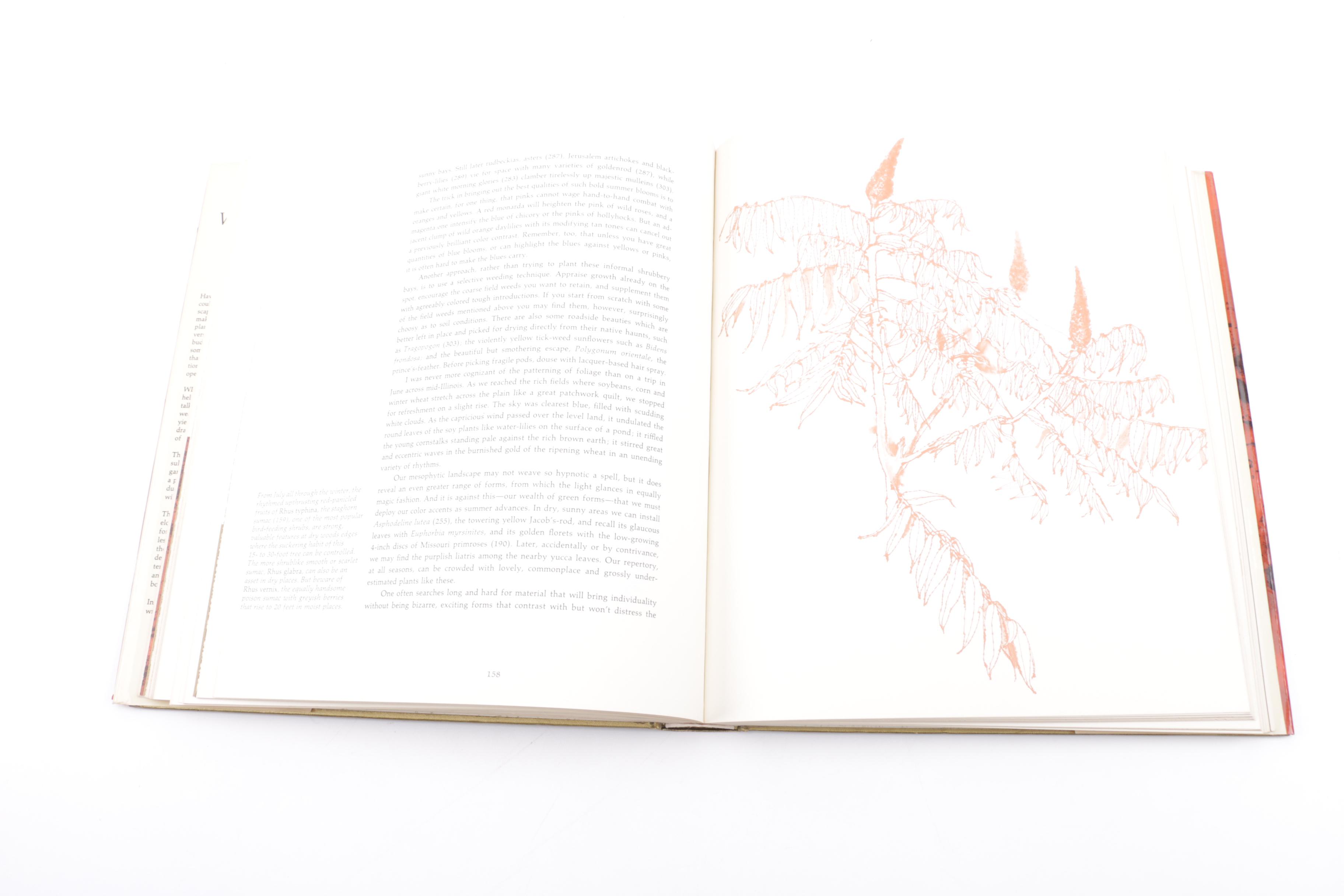 Collection of Vintage and Antique Books