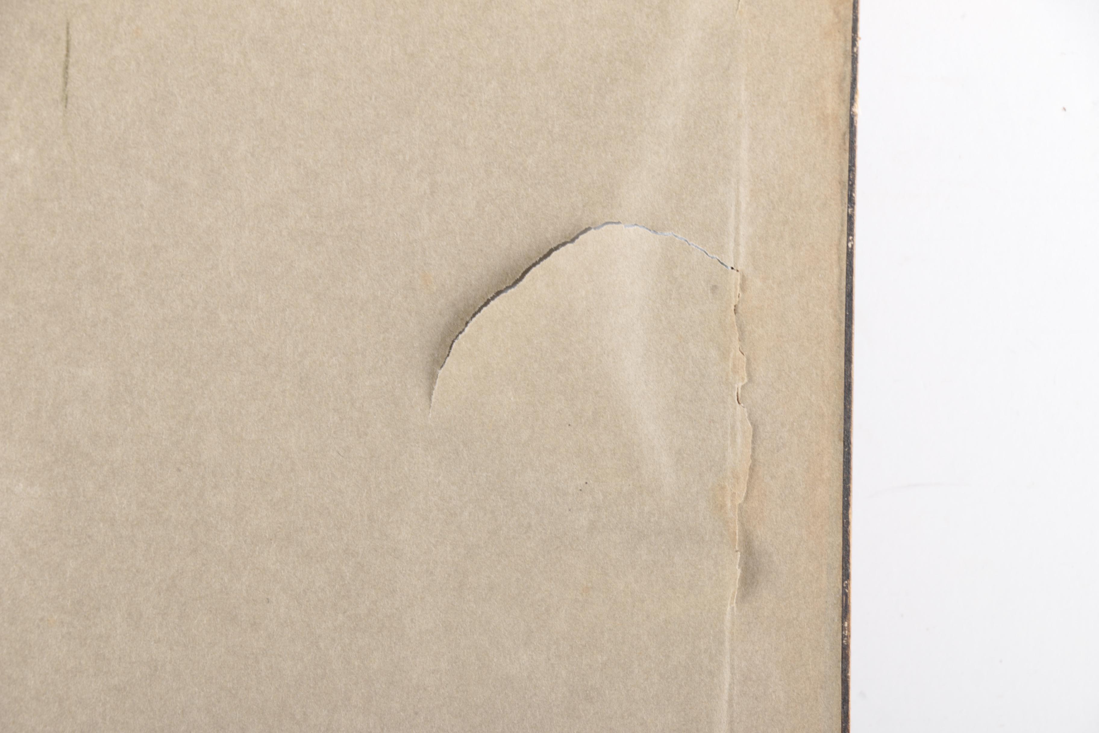 Jo Birdsey Watercolor on Paper