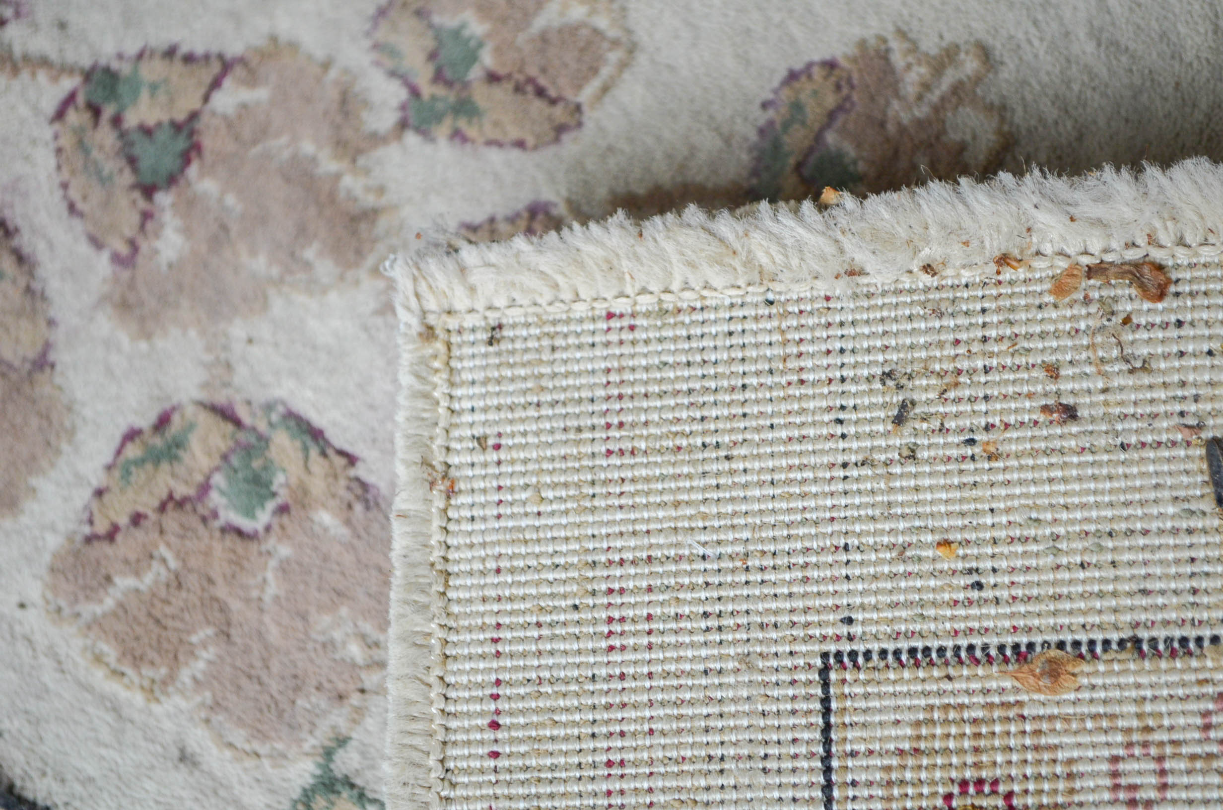 Turkish Couristan "Izmir" Area Rug