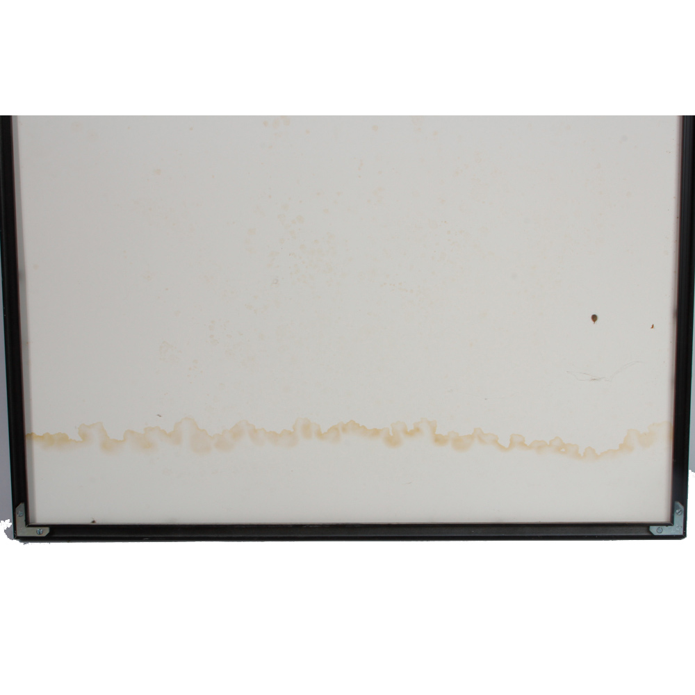 Framed "Total Recall" Movie Poster