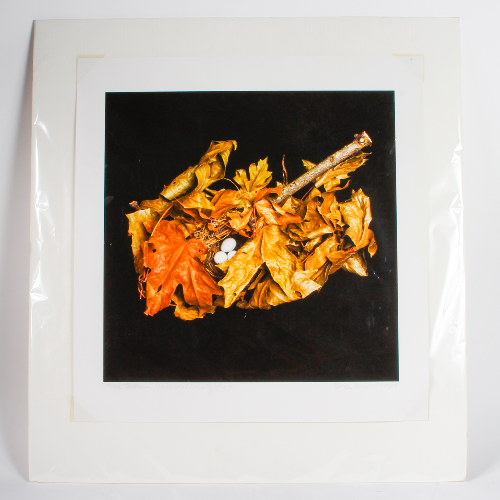 Sharon Beals Limited Edition Color Photograph "Pine Siskin"