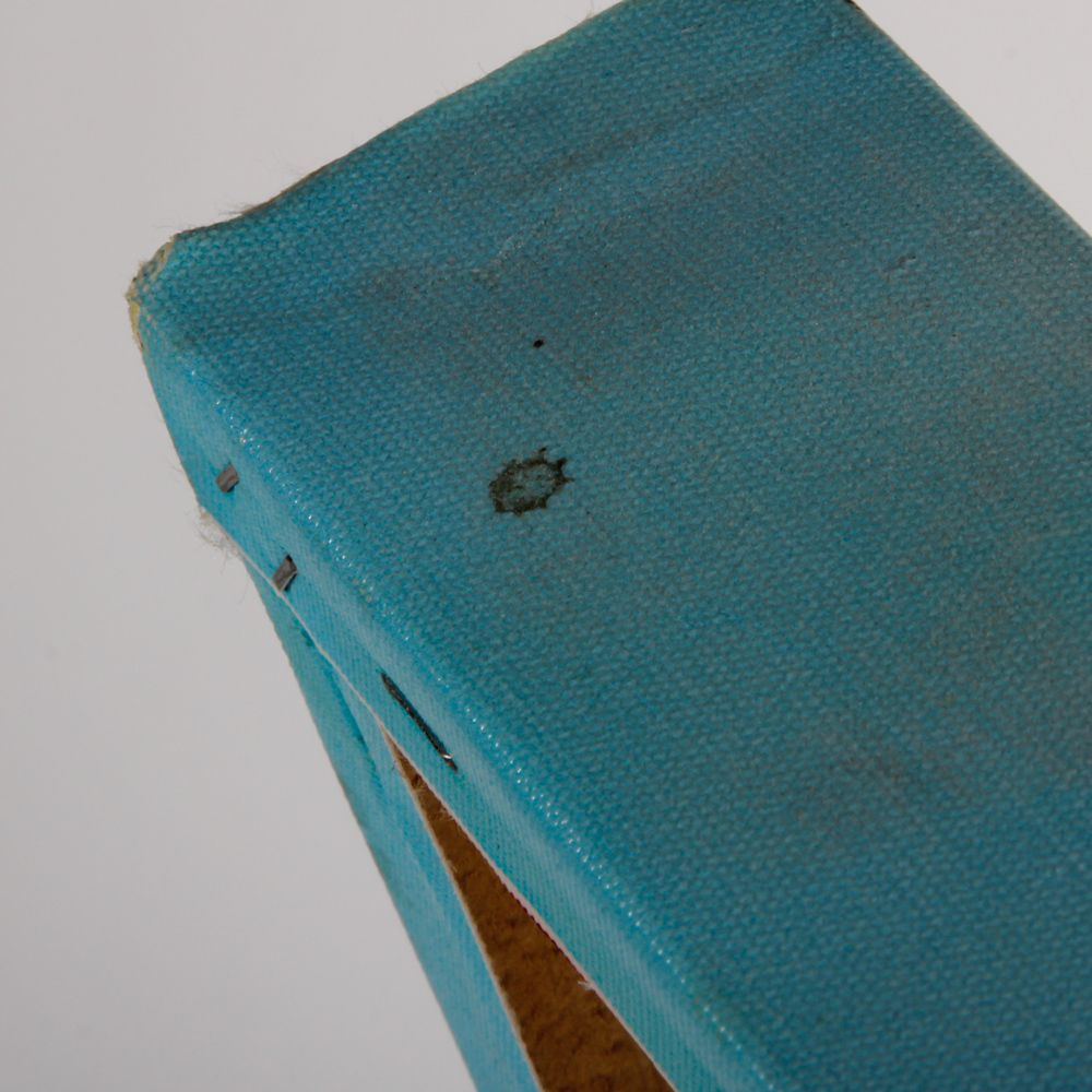 Giclee on Canvas of Taj Mahal