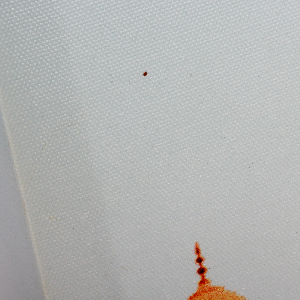 Giclee on Canvas of Taj Mahal