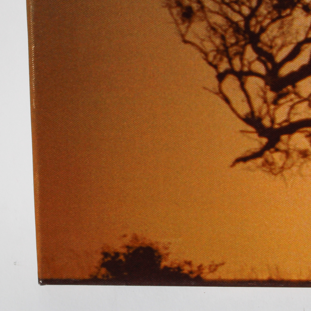 "Where the Wild Things Are" Movie Reproduction Print on Canvas