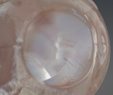 Goebel Frosted Cherub and Elephant Paperweight Figurines