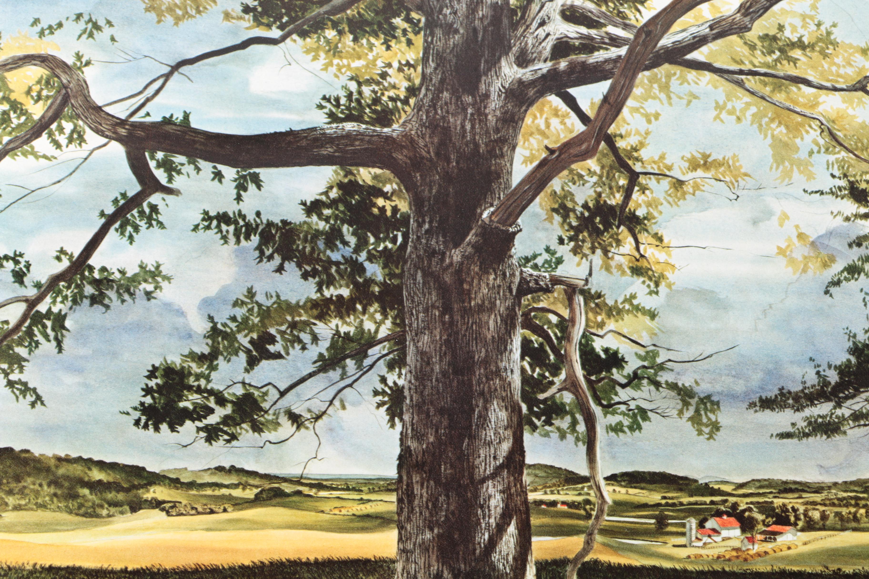 Reproduction Landscape Prints on Paper From the Franklin Mint Gallery of American Art Collection "America the Beautiful"