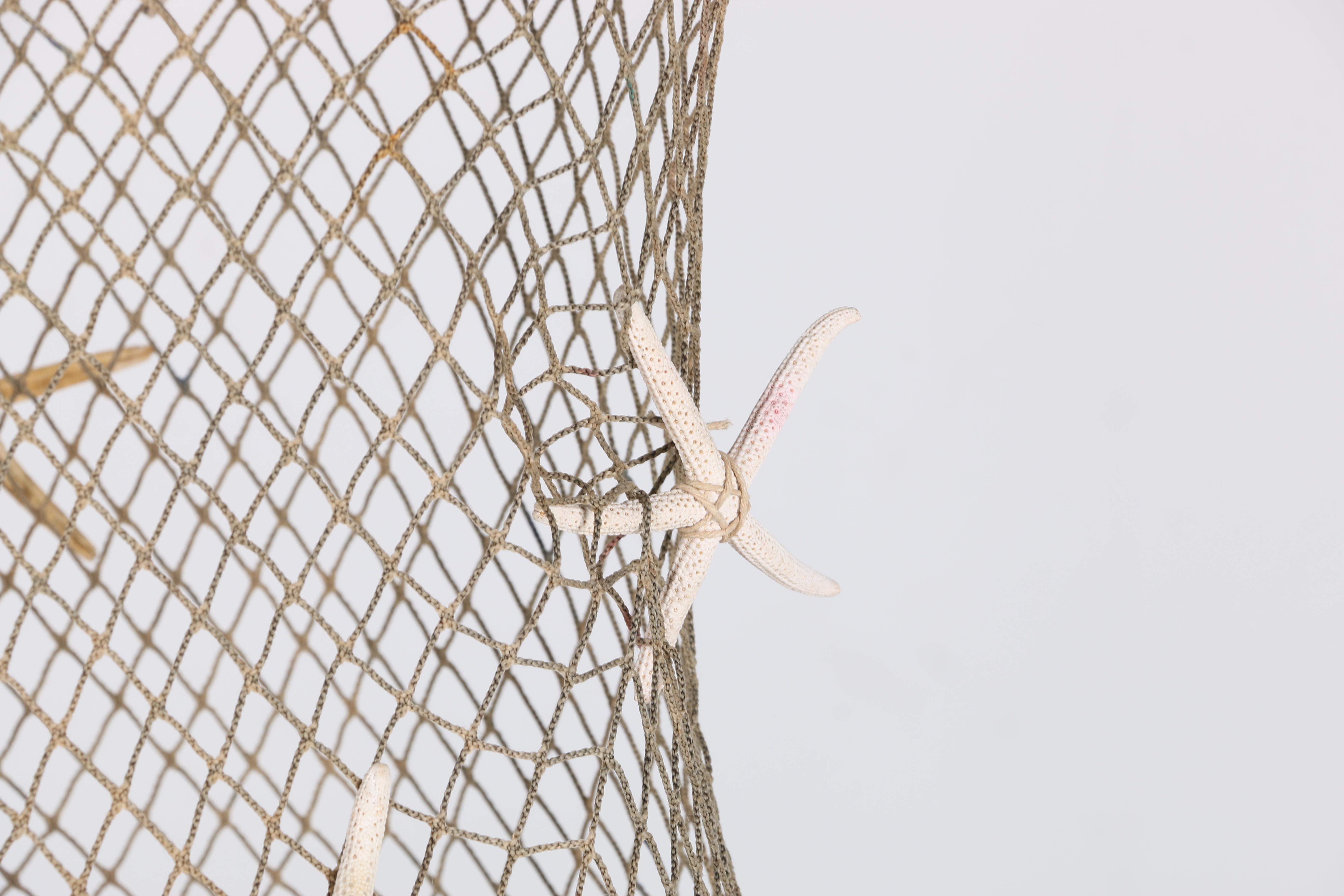Hand Made Seashell Pendant Lamps