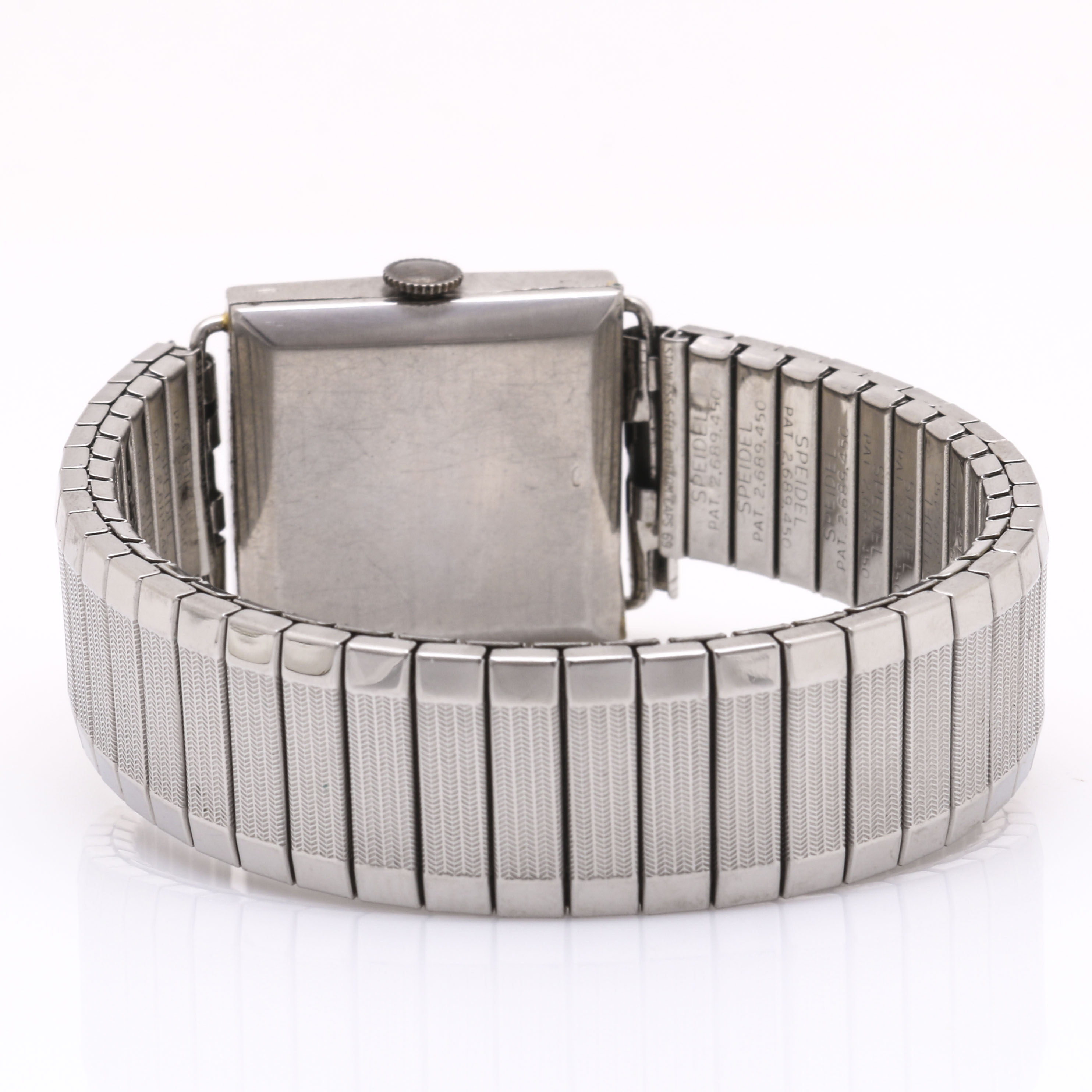 Platinum Expansion Watch