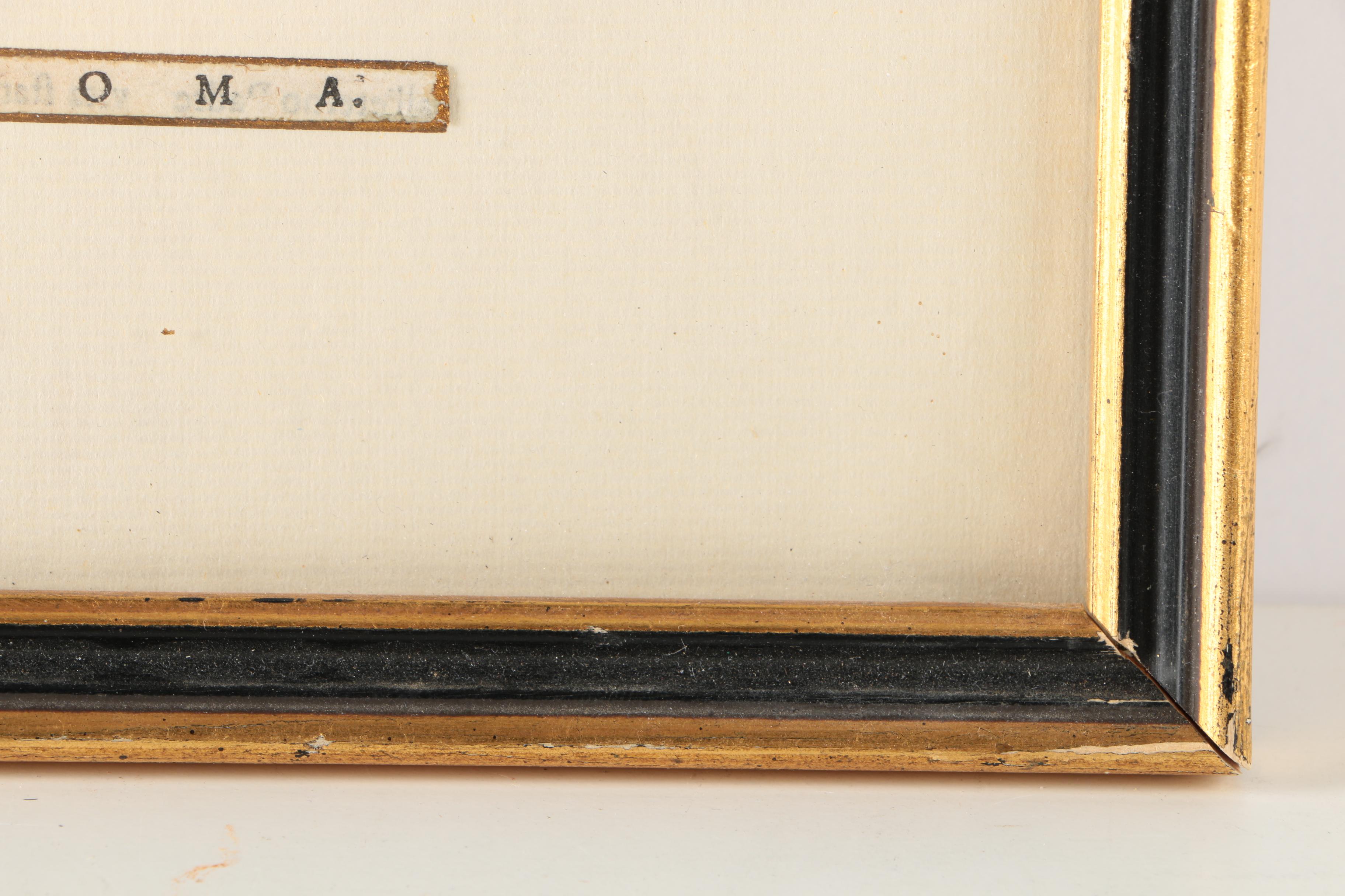 Woodcut Illustrations From Cesare Ripa's "Iconologia"