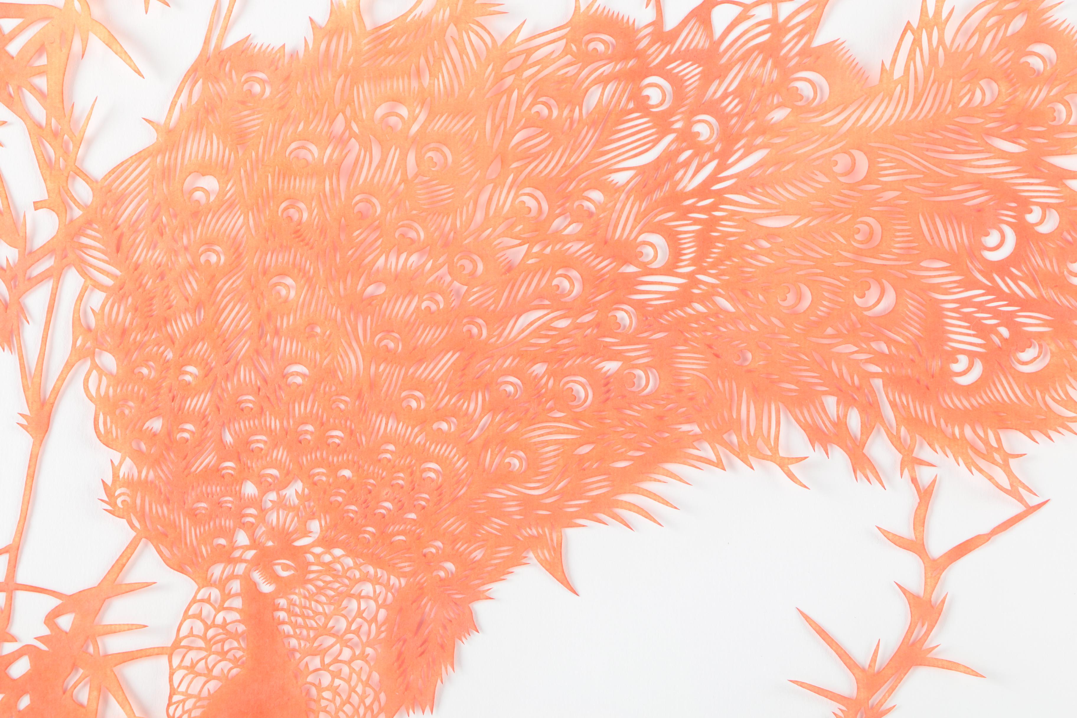 Chinese Jianzhi Cut Paper Illustration of a Peacock