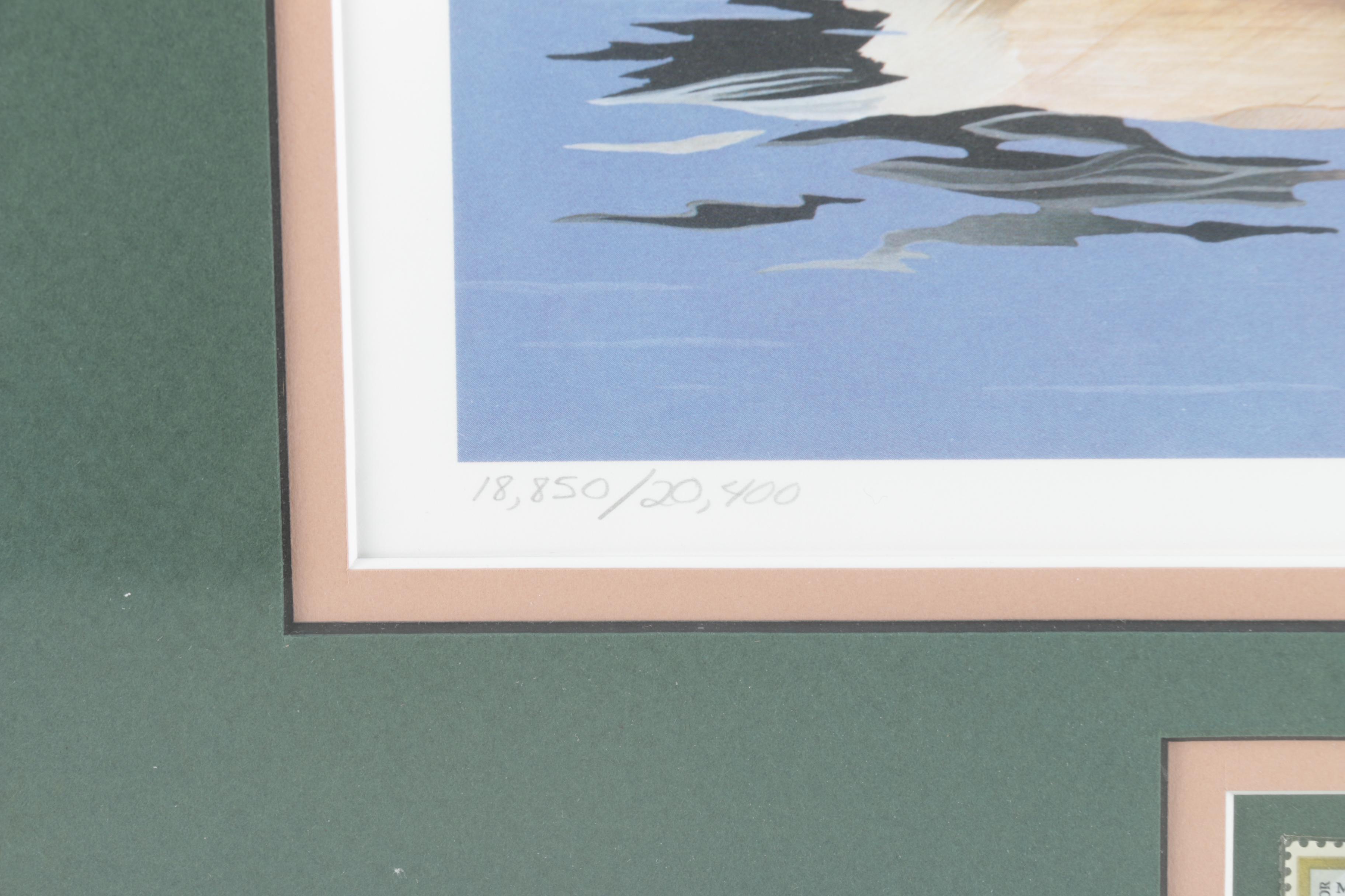 Limited Edition Offset Lithograph Prints of Waterfowl