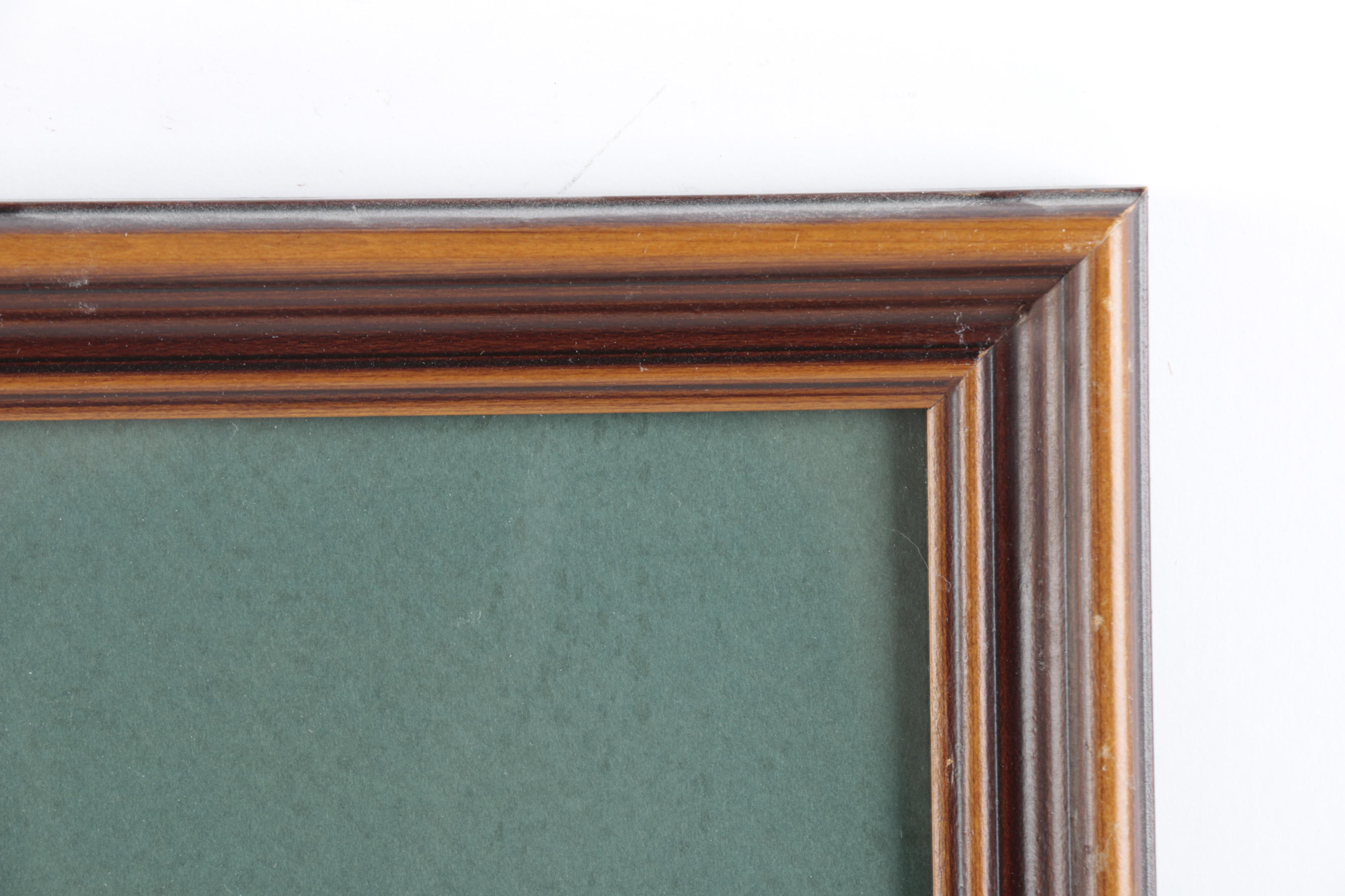 Limited Edition Offset Lithograph Prints of Waterfowl