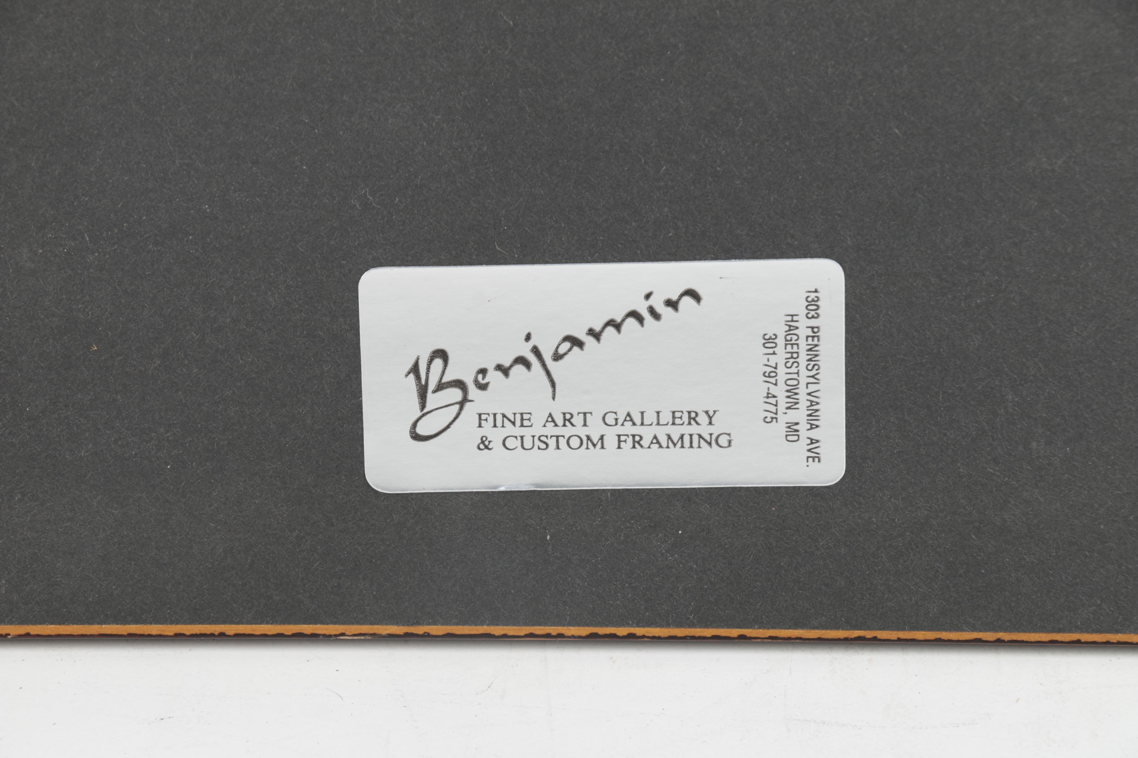 Limited Edition Offset Lithograph Prints of Waterfowl