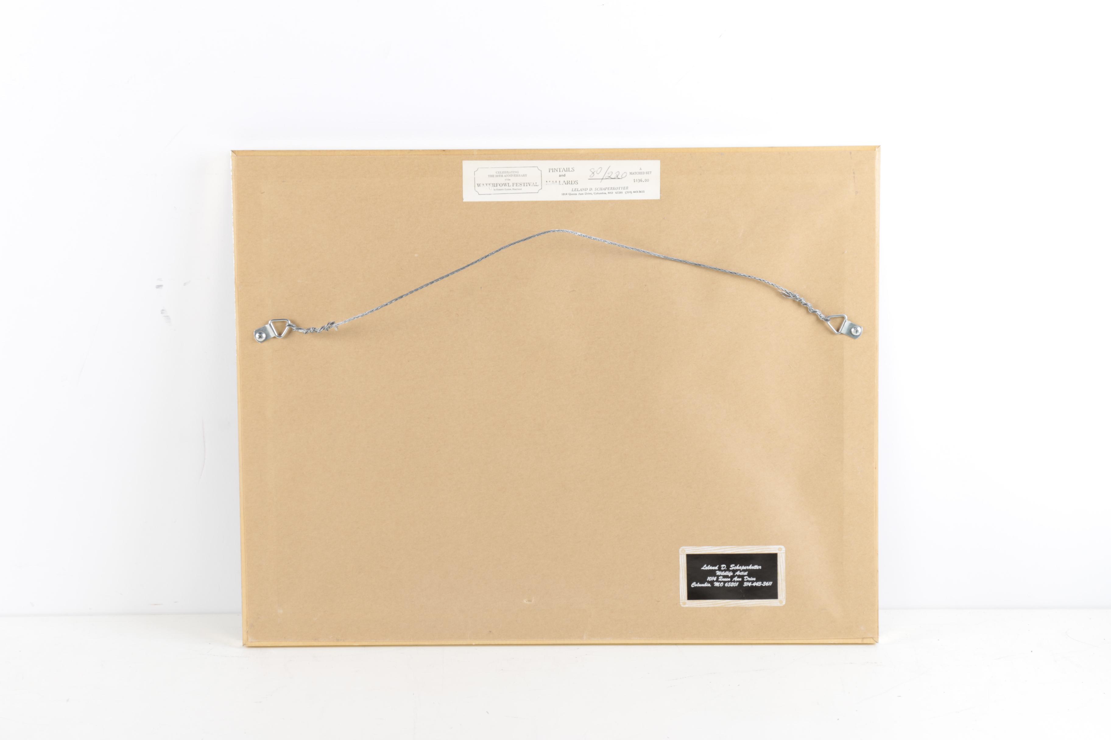 Limited Edition Offset Lithograph Prints of Waterfowl