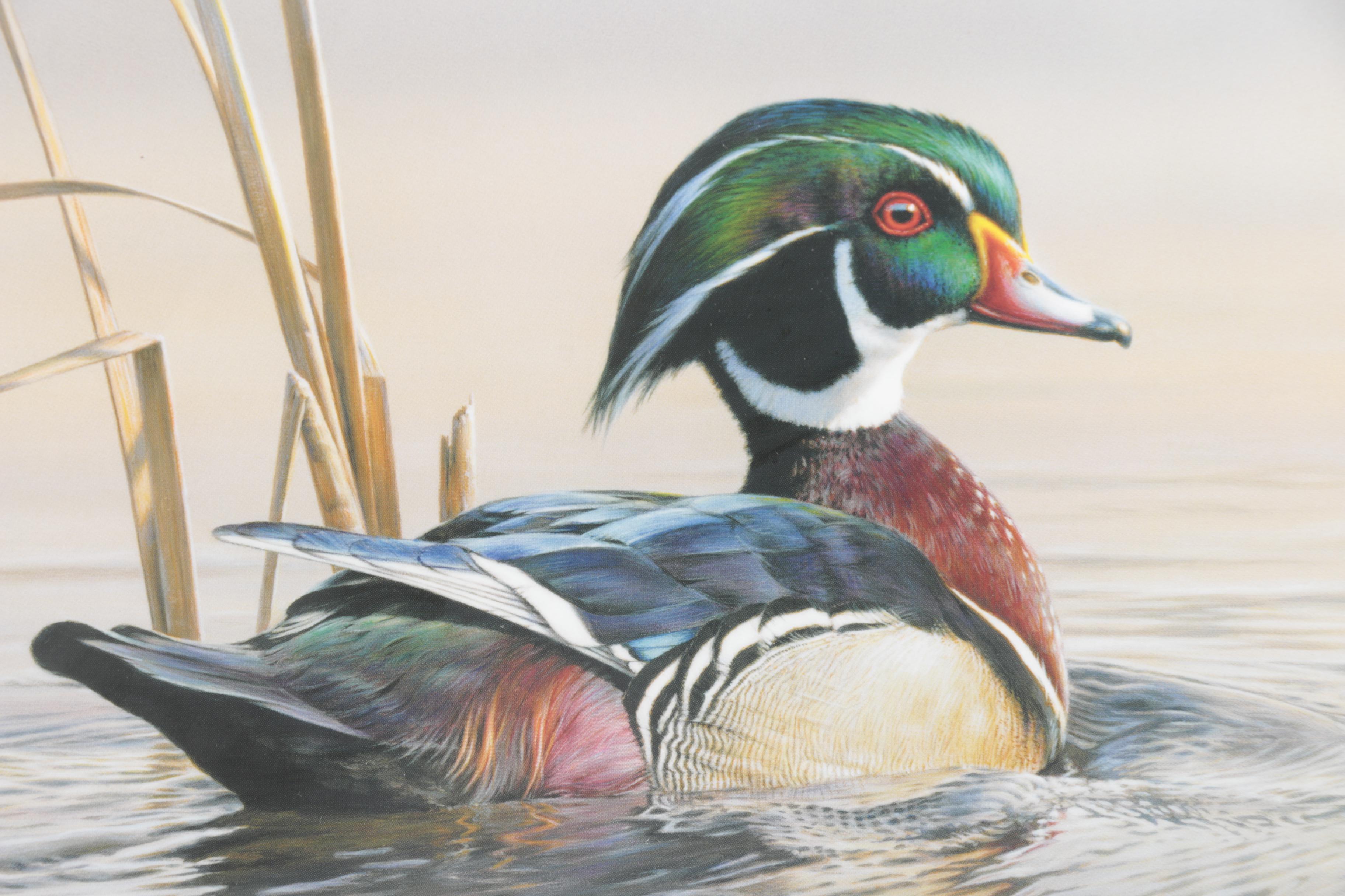 Limited Edition Offset Lithograph Prints of Waterfowl