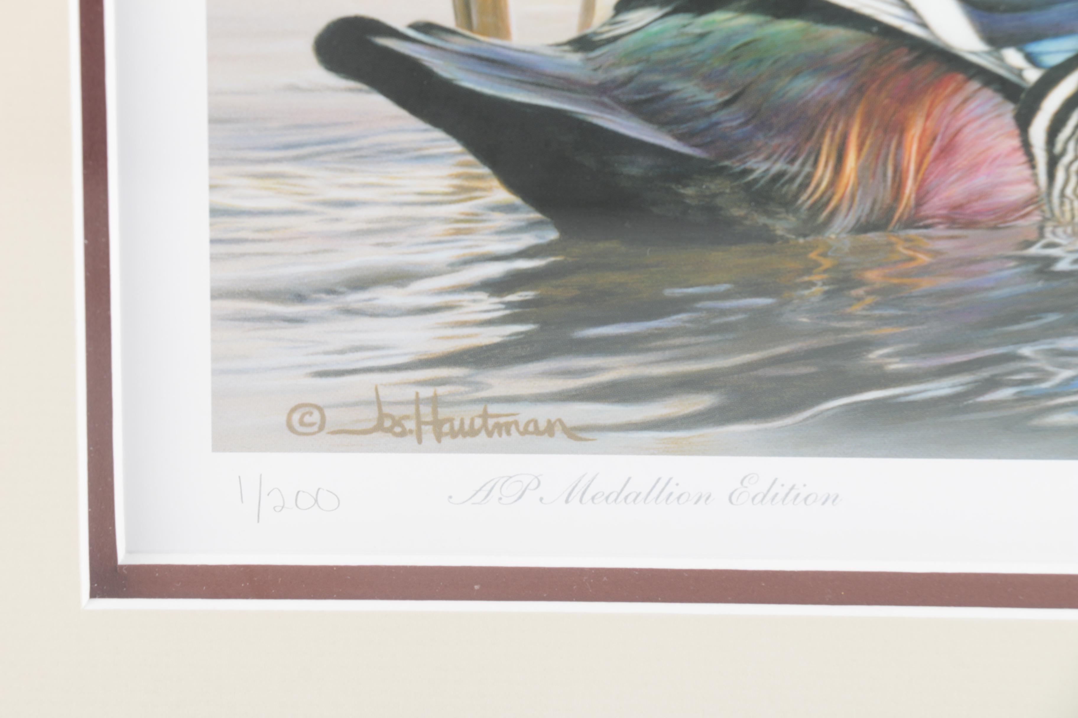 Limited Edition Offset Lithograph Prints of Waterfowl