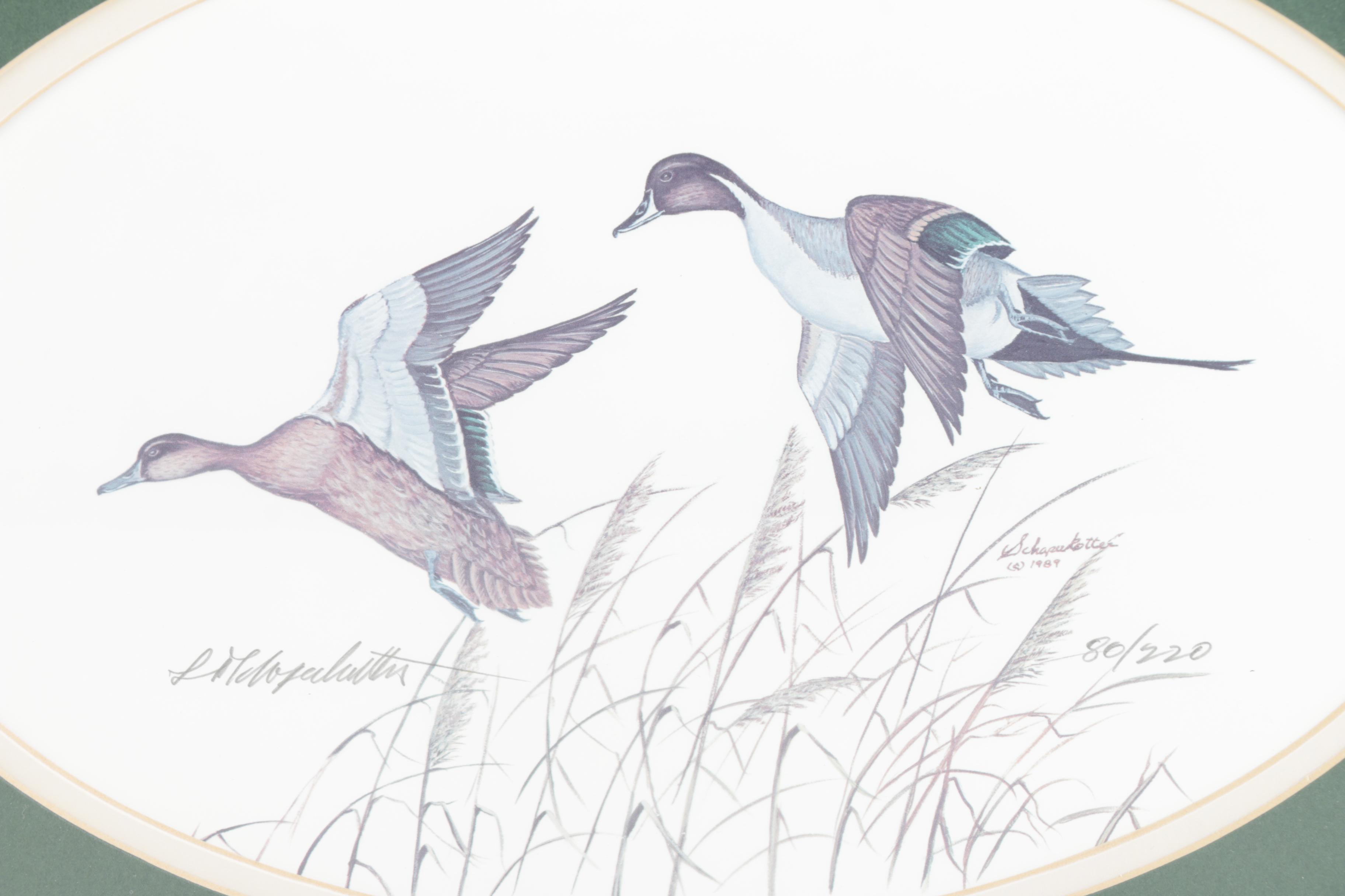 Limited Edition Offset Lithograph Prints of Waterfowl