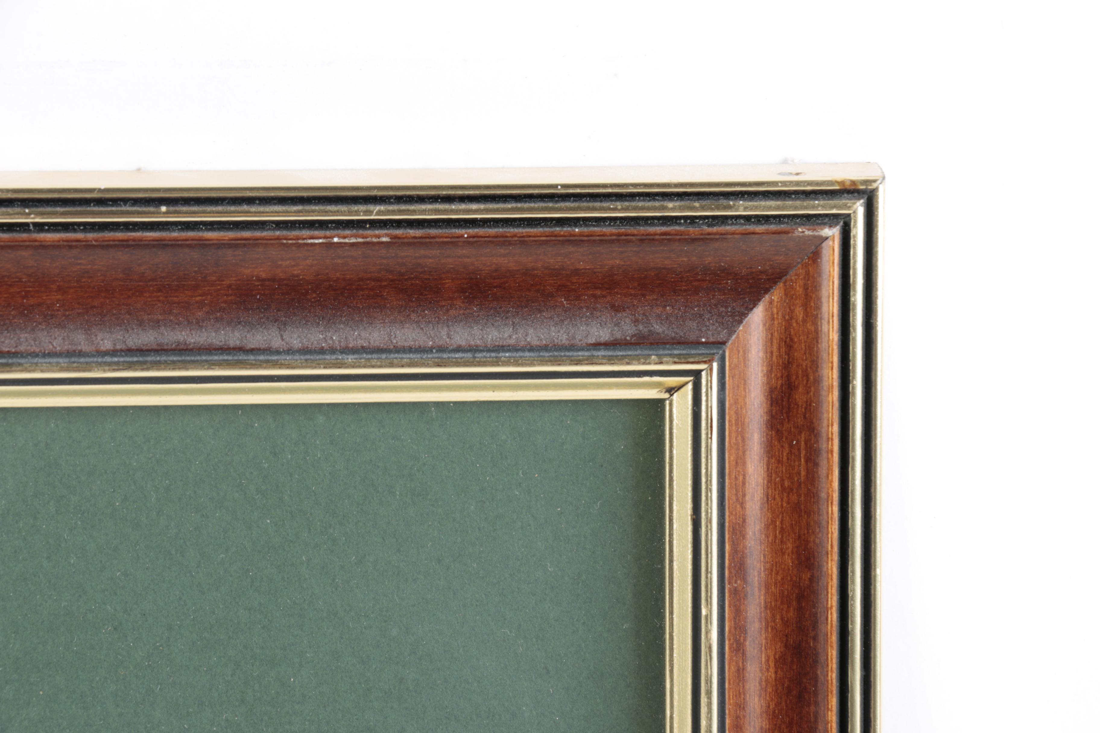 Limited Edition Offset Lithograph Prints of Waterfowl