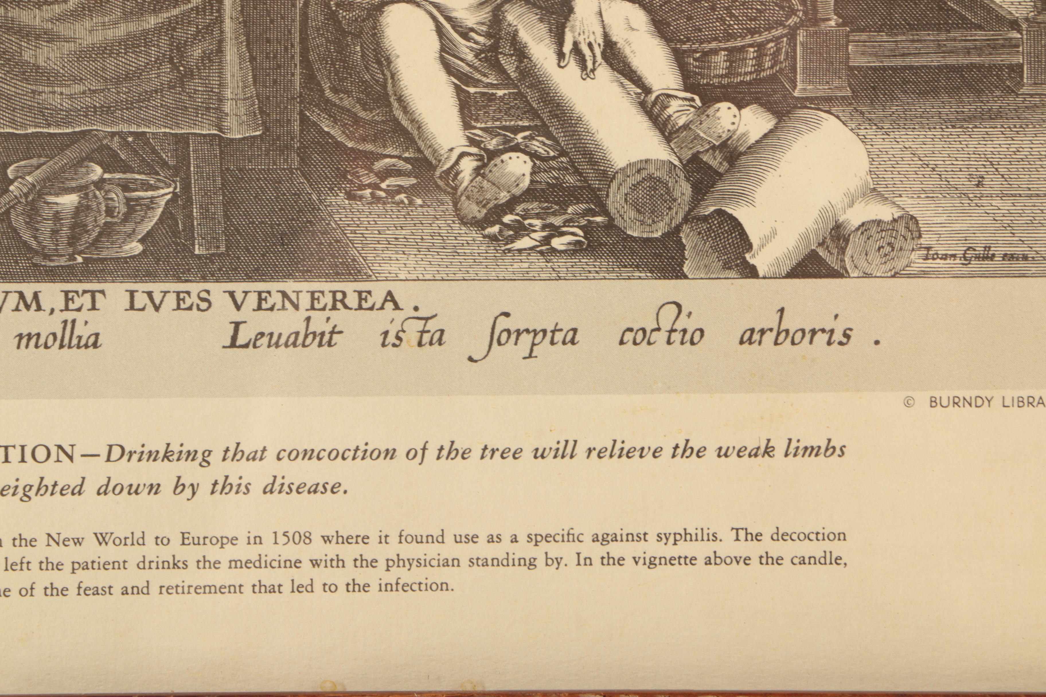 Offset Lithographs After Stradanus's "New Discoveries"