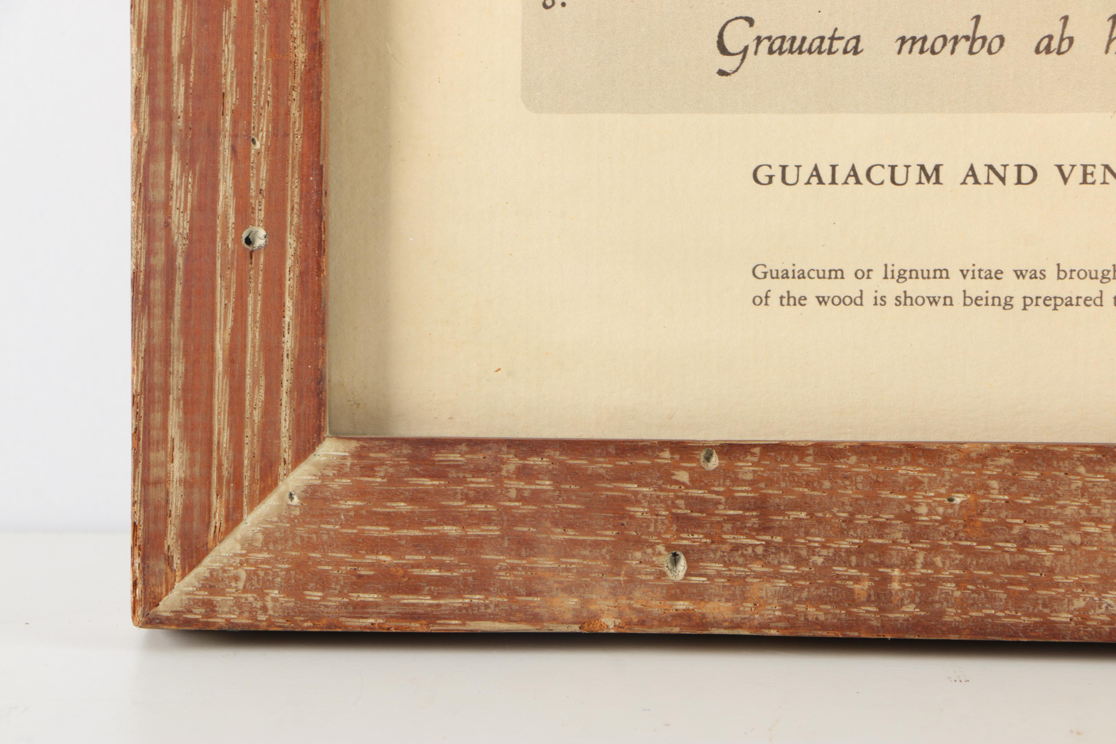 Offset Lithographs After Stradanus's "New Discoveries"