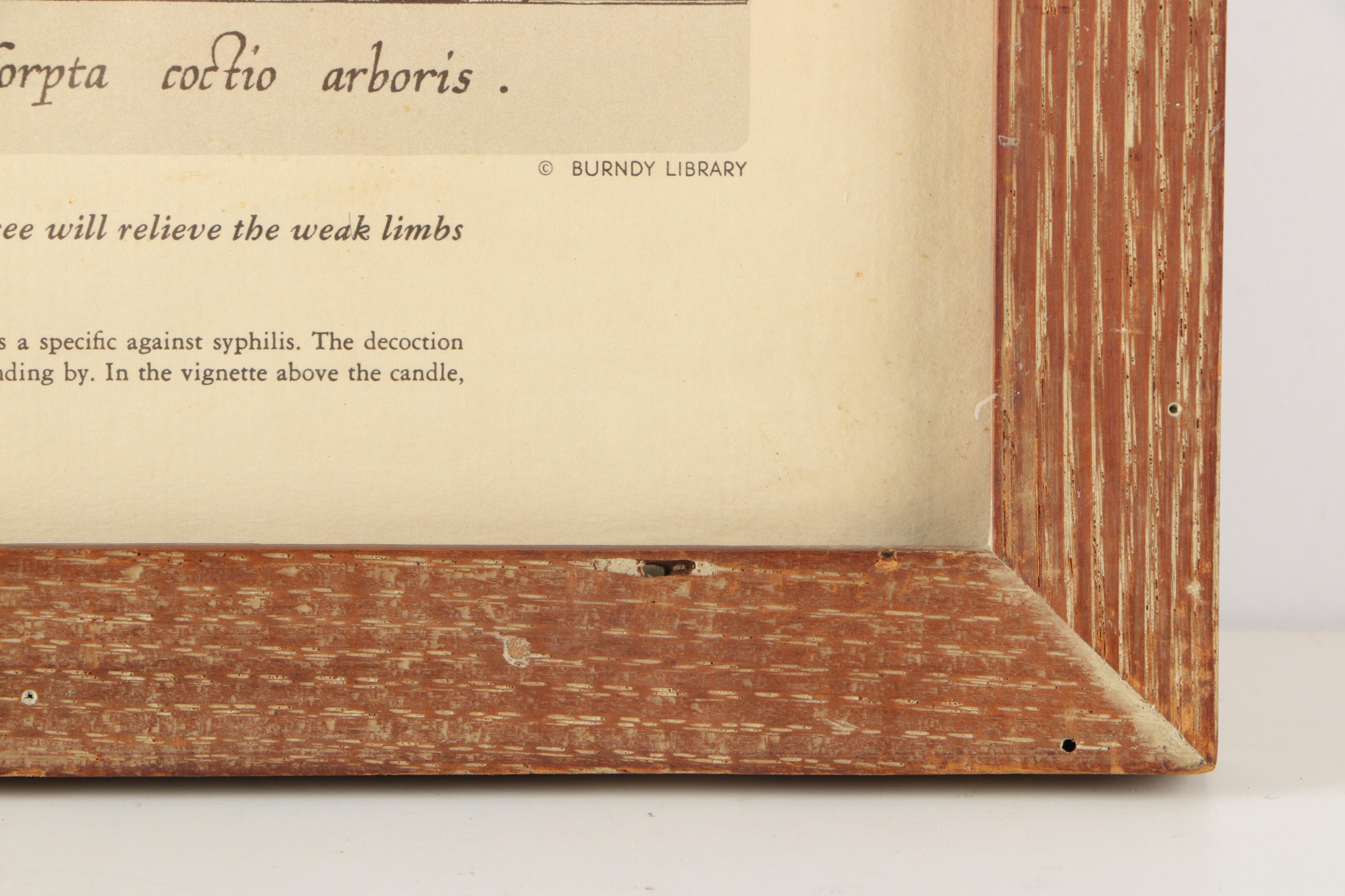 Offset Lithographs After Stradanus's "New Discoveries"