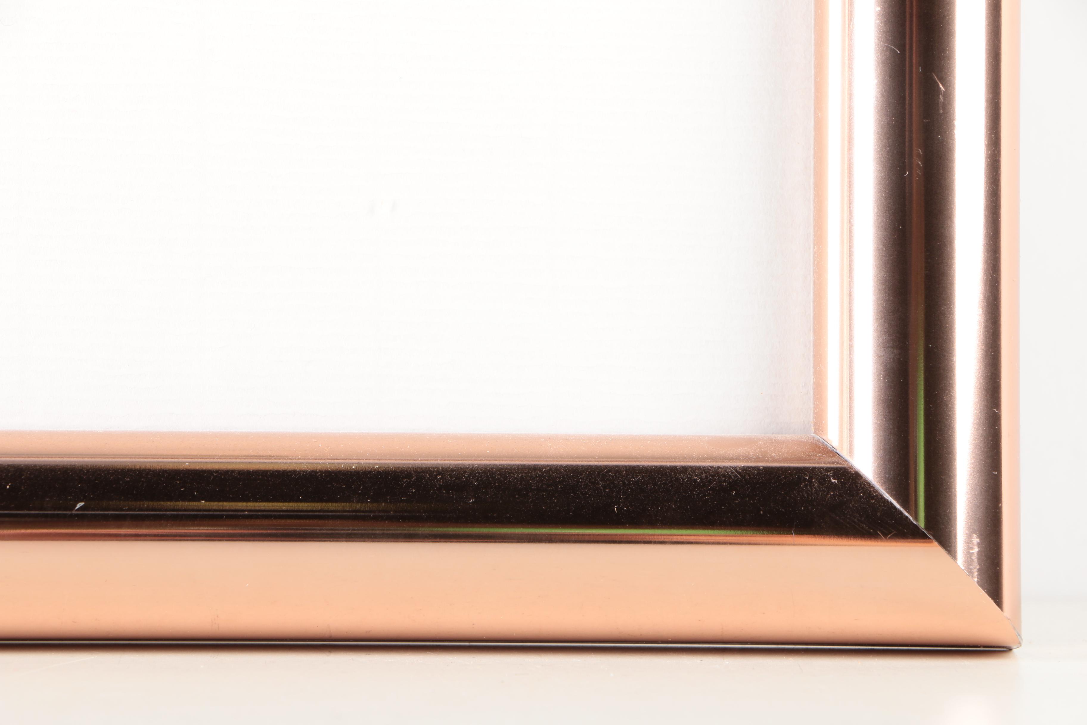 The Walt Disney Company Sericel "Mickey on Ice"