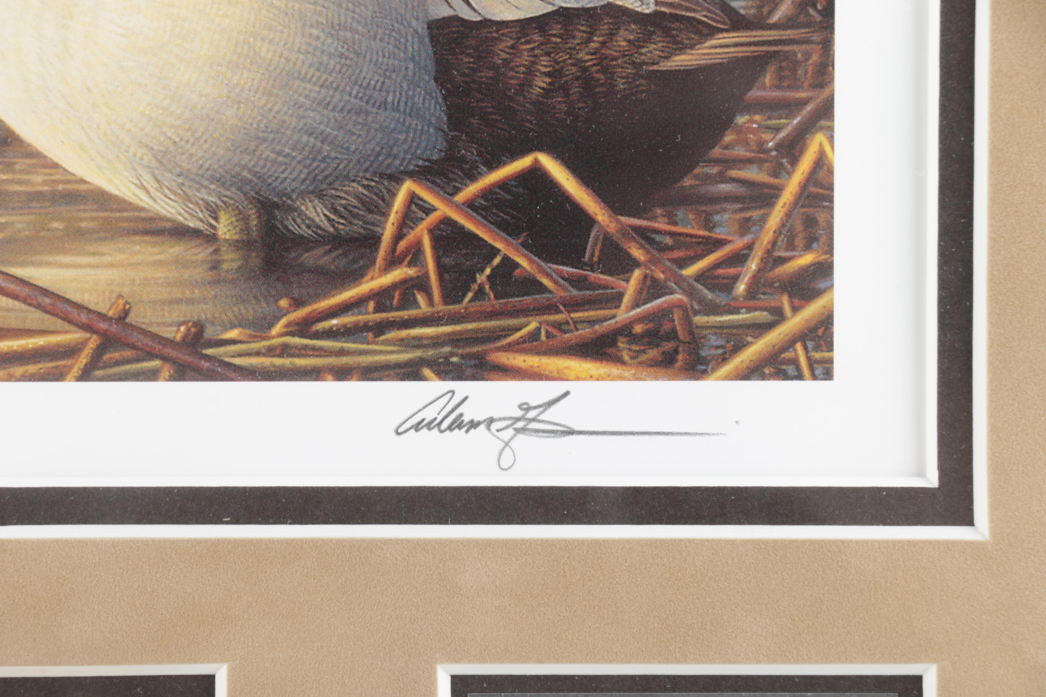 Limited Edition Offset Lithograph Prints of Federal Duck Stamp Prints