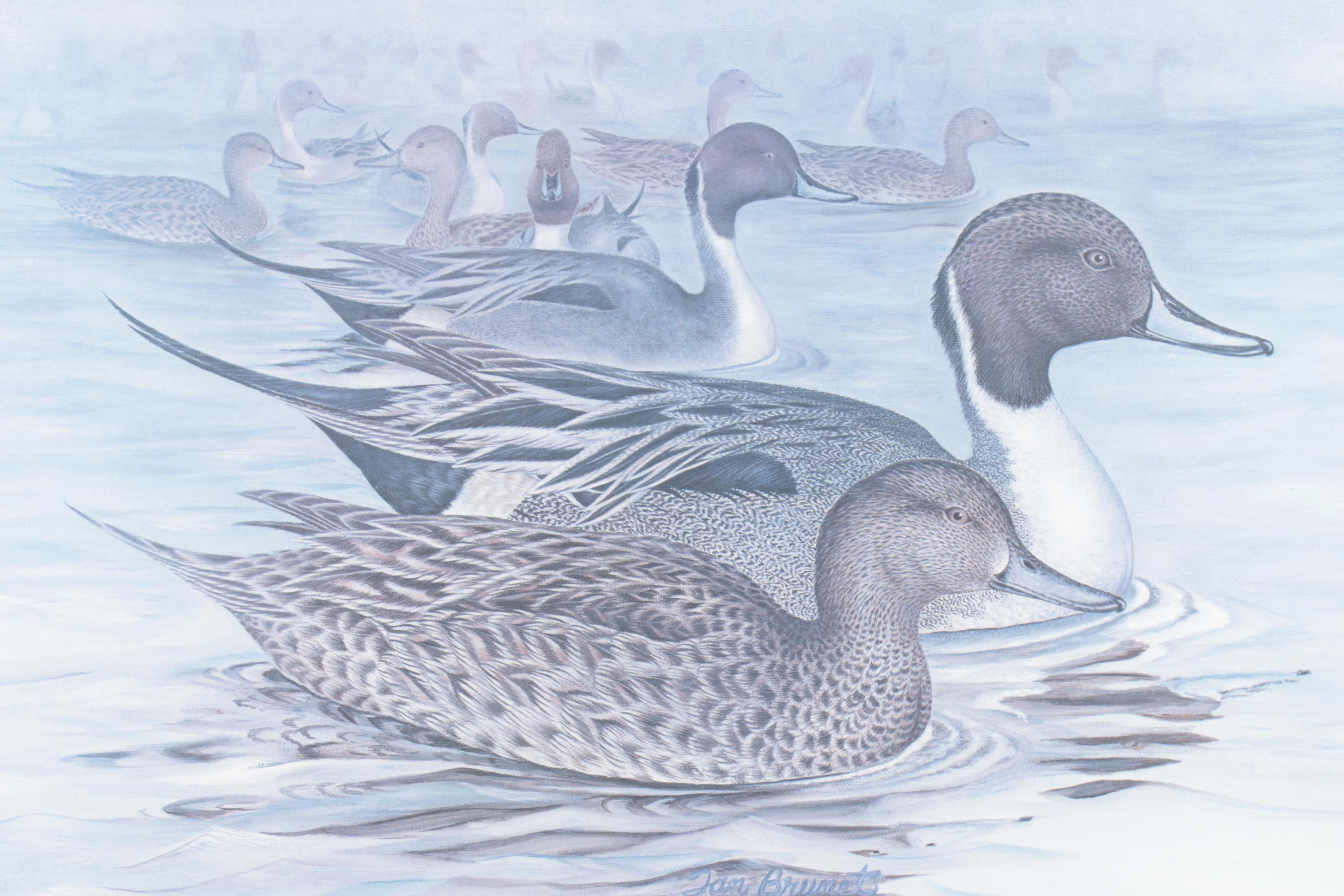 Tan Brunet Limited Edition Offset Lithographs "Foggy Flat Pintails" and "Canvasback: King of the Divers"