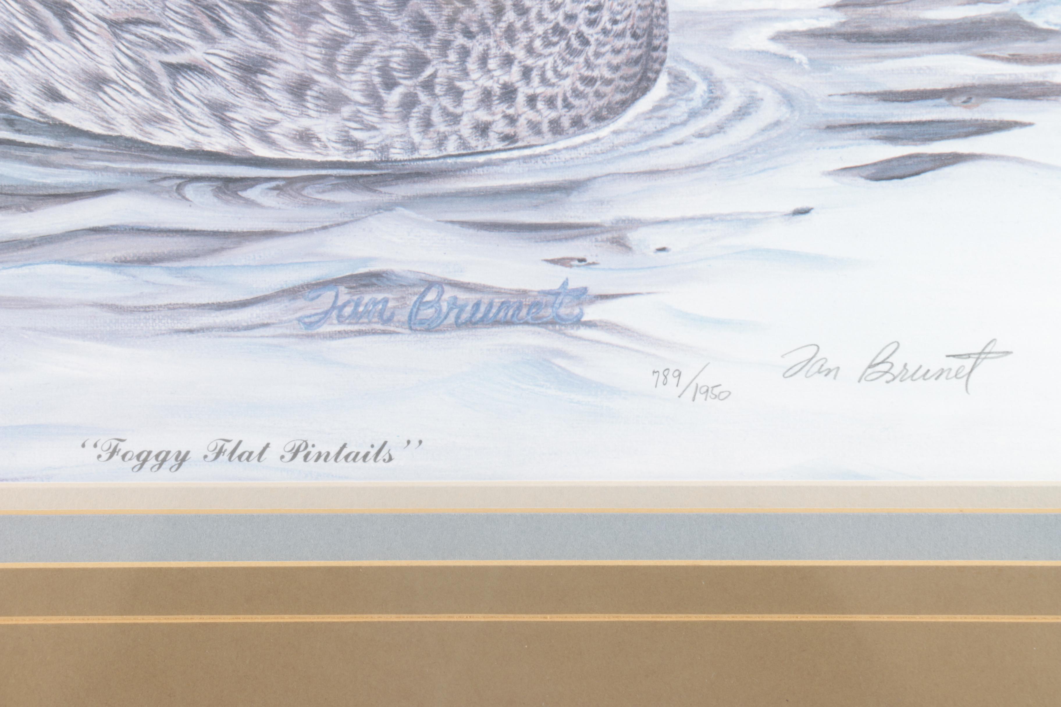 Tan Brunet Limited Edition Offset Lithographs "Foggy Flat Pintails" and "Canvasback: King of the Divers"