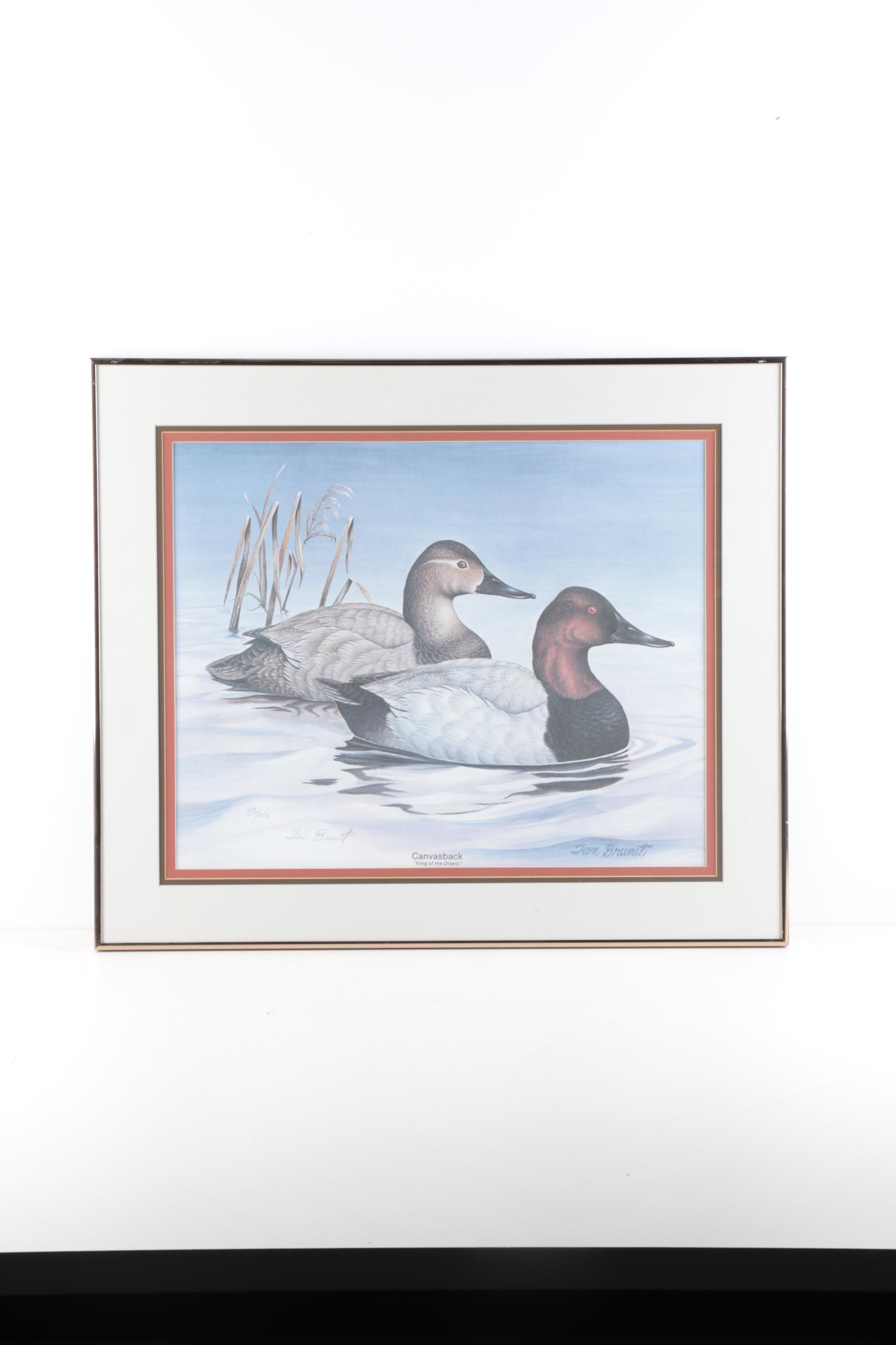 Tan Brunet Limited Edition Offset Lithographs "Foggy Flat Pintails" and "Canvasback: King of the Divers"