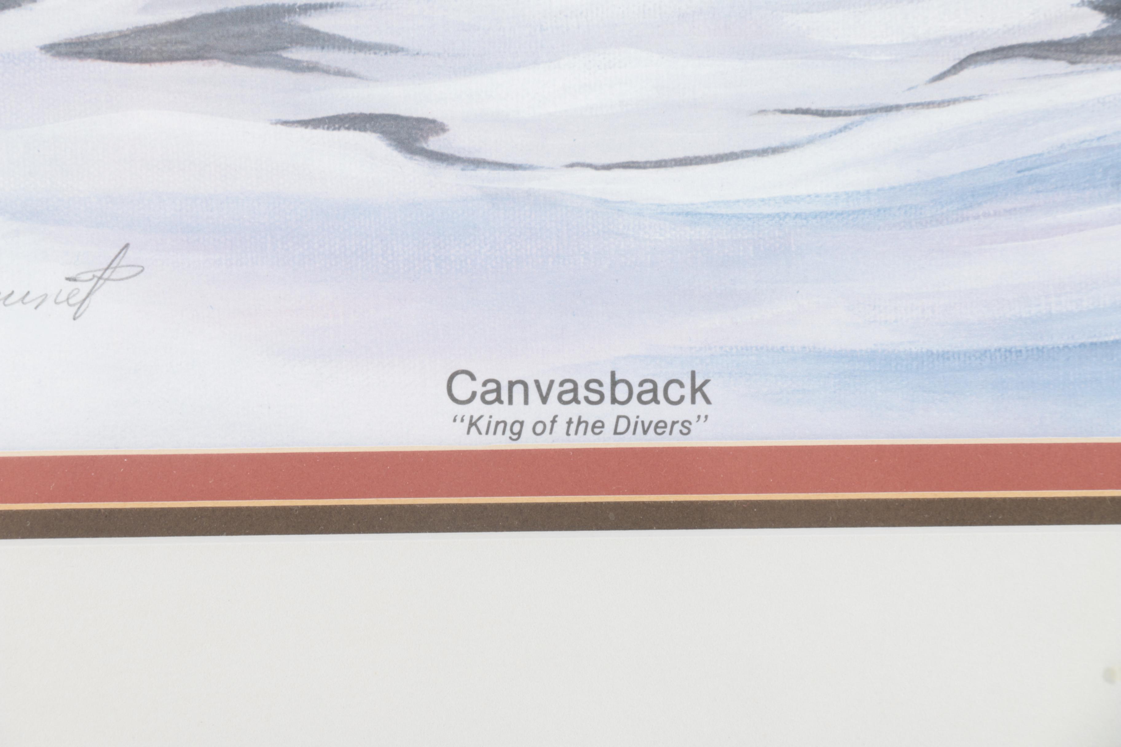 Tan Brunet Limited Edition Offset Lithographs "Foggy Flat Pintails" and "Canvasback: King of the Divers"