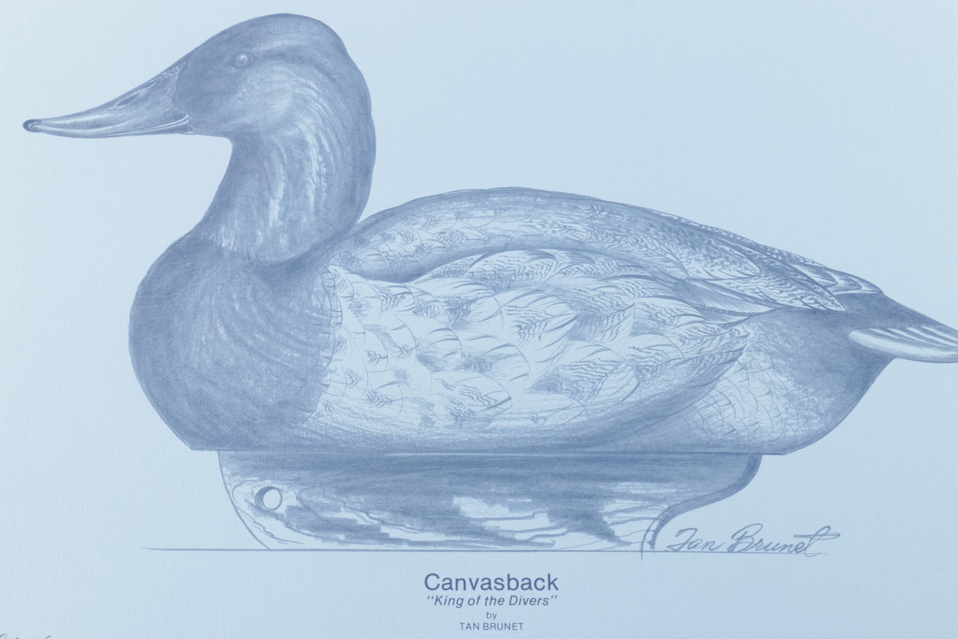 Tan Brunet Limited Edition Offset Lithographs "Foggy Flat Pintails" and "Canvasback: King of the Divers"