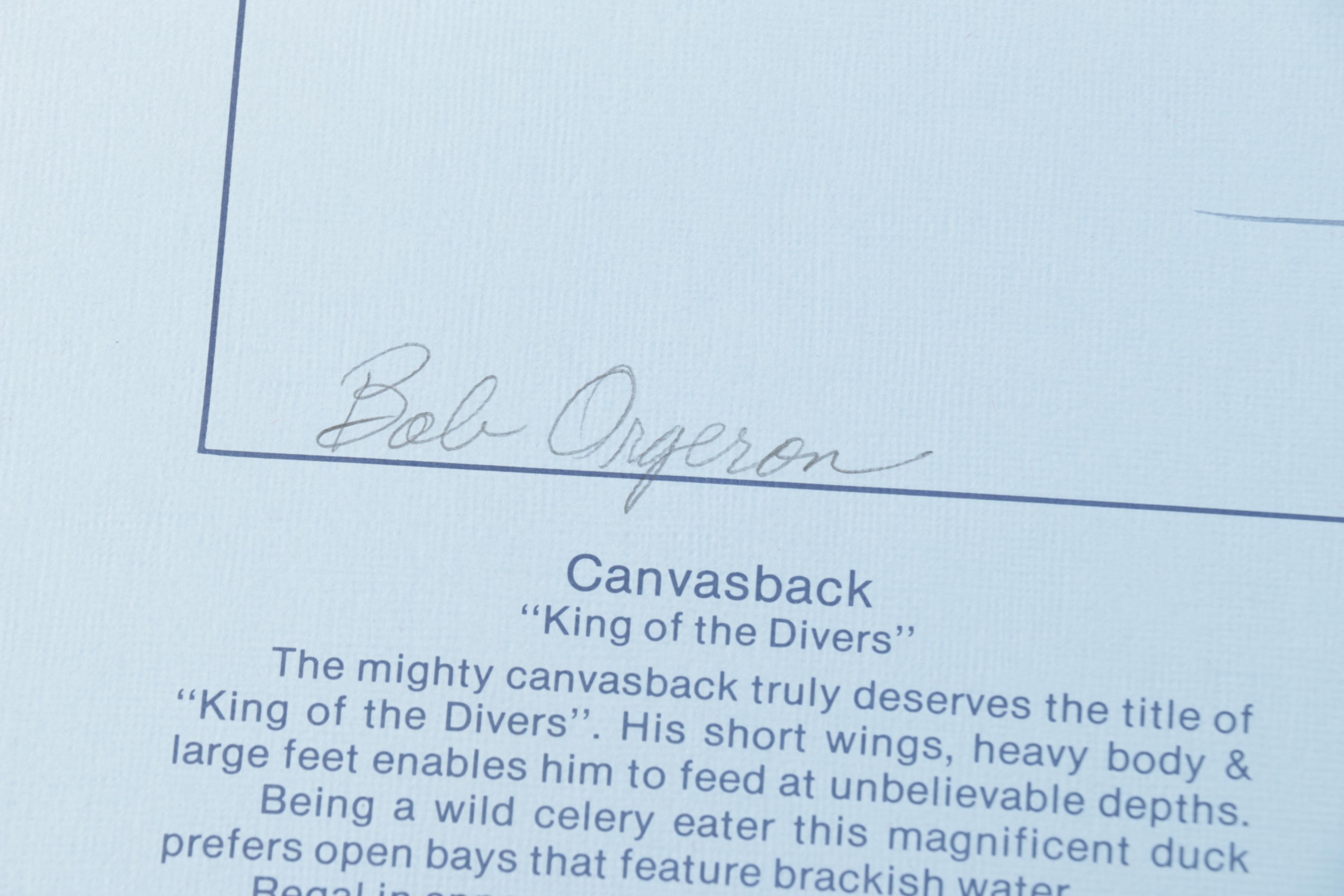 Tan Brunet Limited Edition Offset Lithographs "Foggy Flat Pintails" and "Canvasback: King of the Divers"