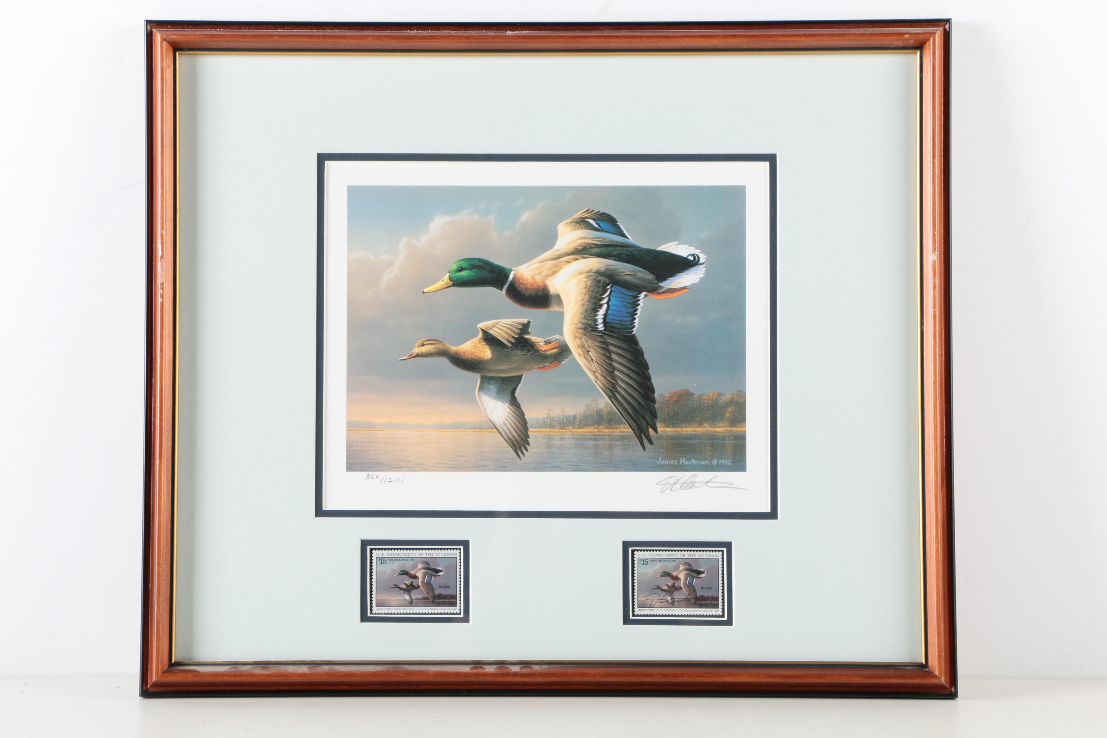 Limited Edition Offset Lithographs After Federal Duck Hunting Stamps
