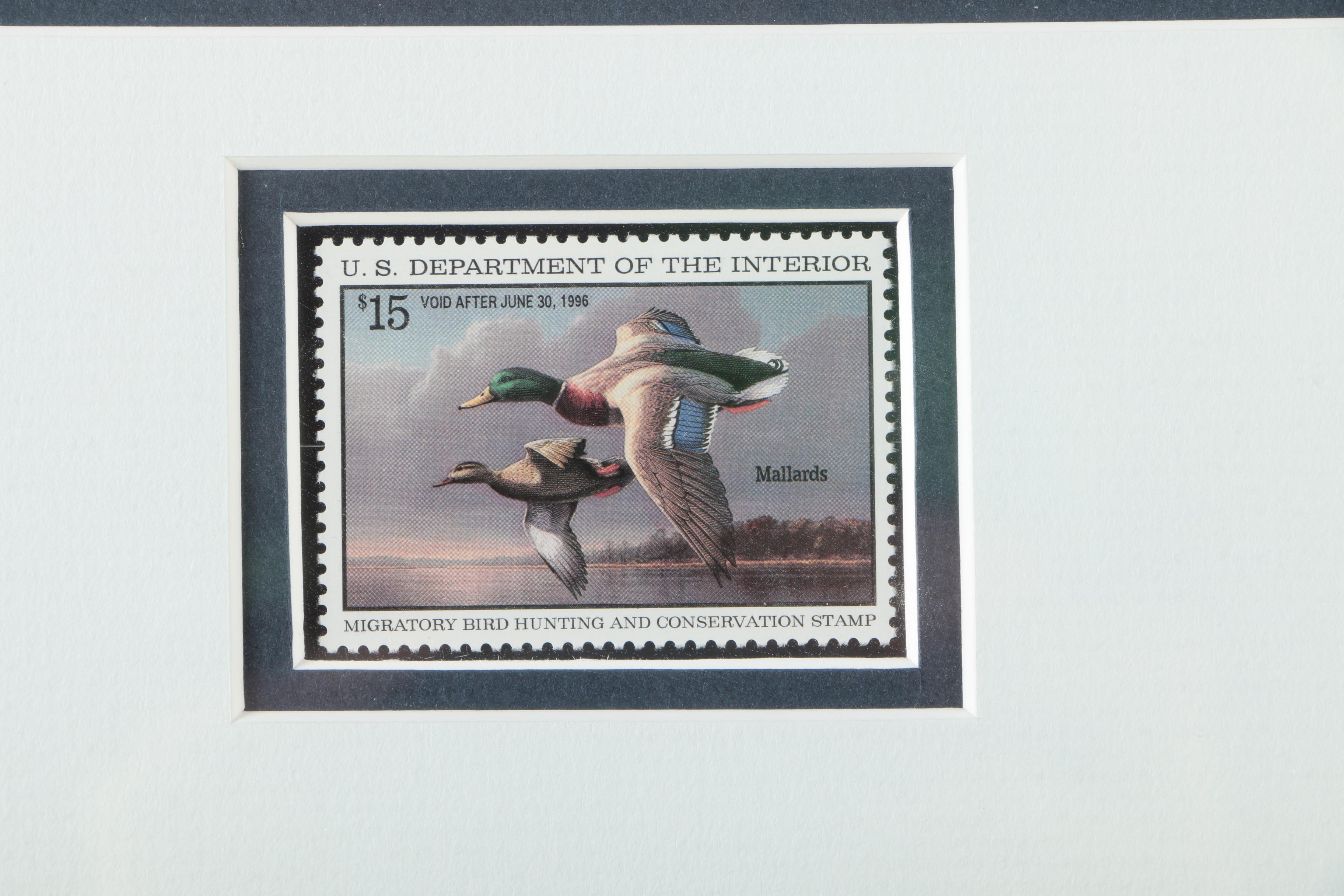 Limited Edition Offset Lithographs After Federal Duck Hunting Stamps