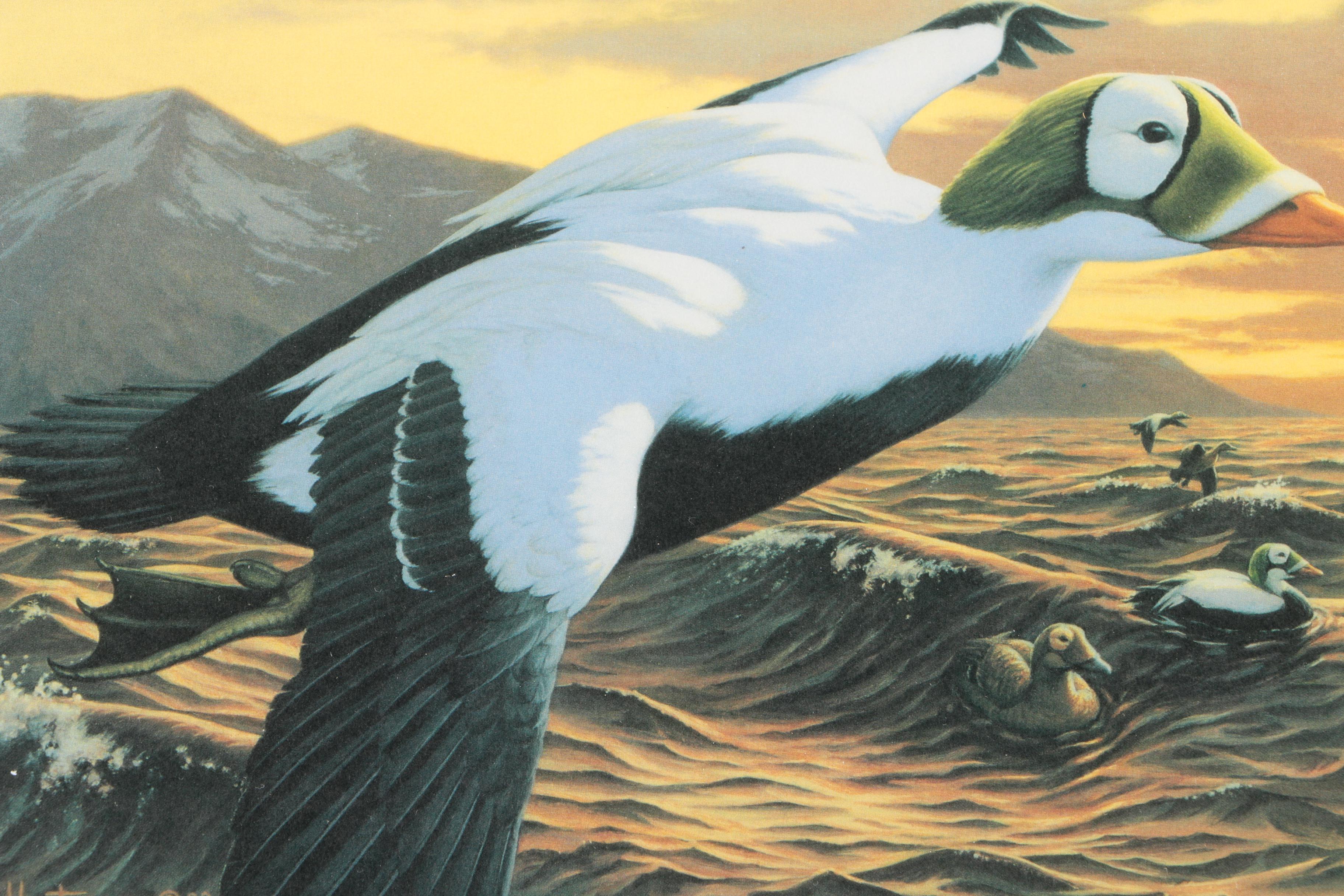 Limited Edition Offset Lithographs After Federal Duck Hunting Stamps