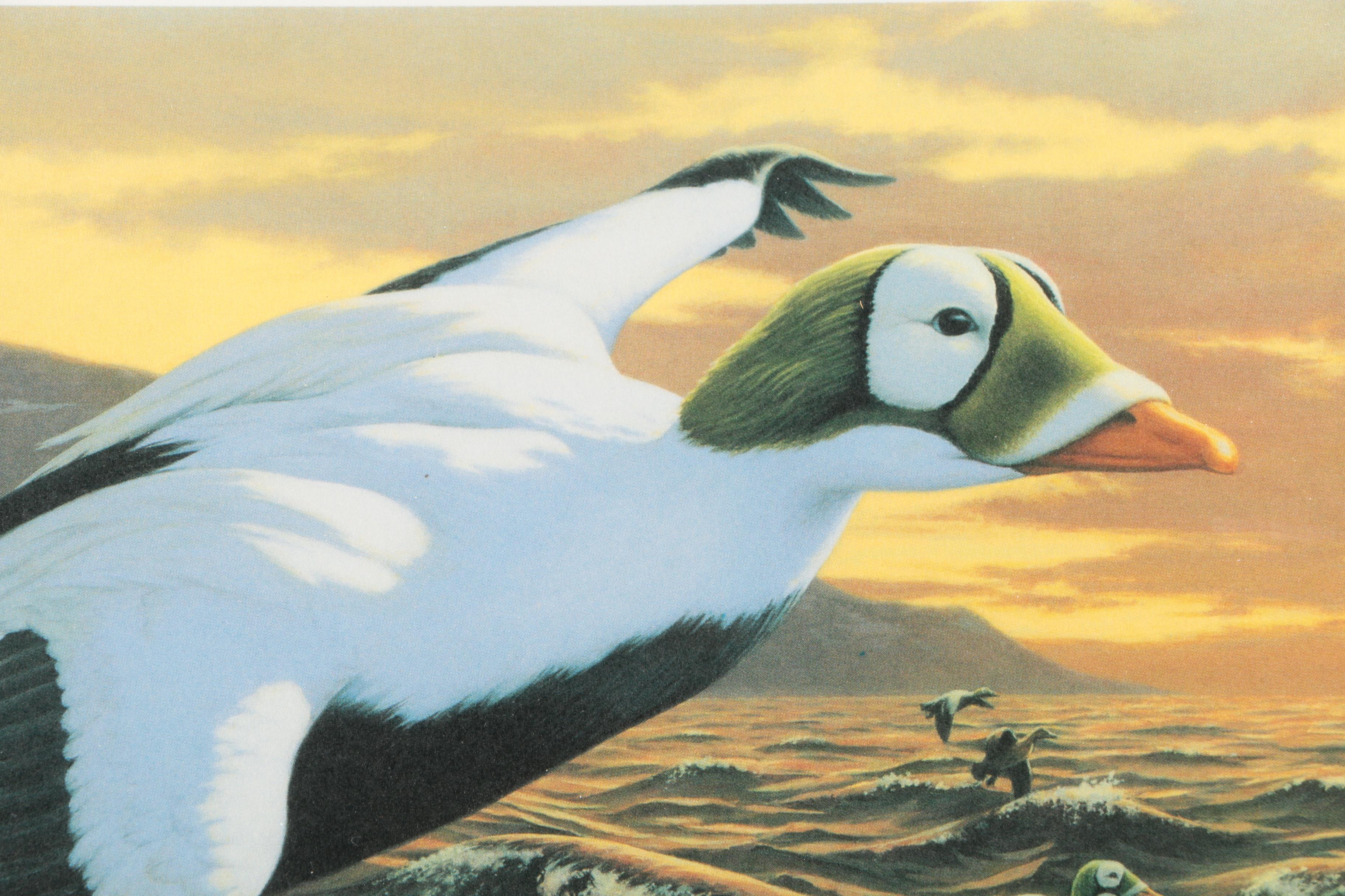 Limited Edition Offset Lithographs After Federal Duck Hunting Stamps