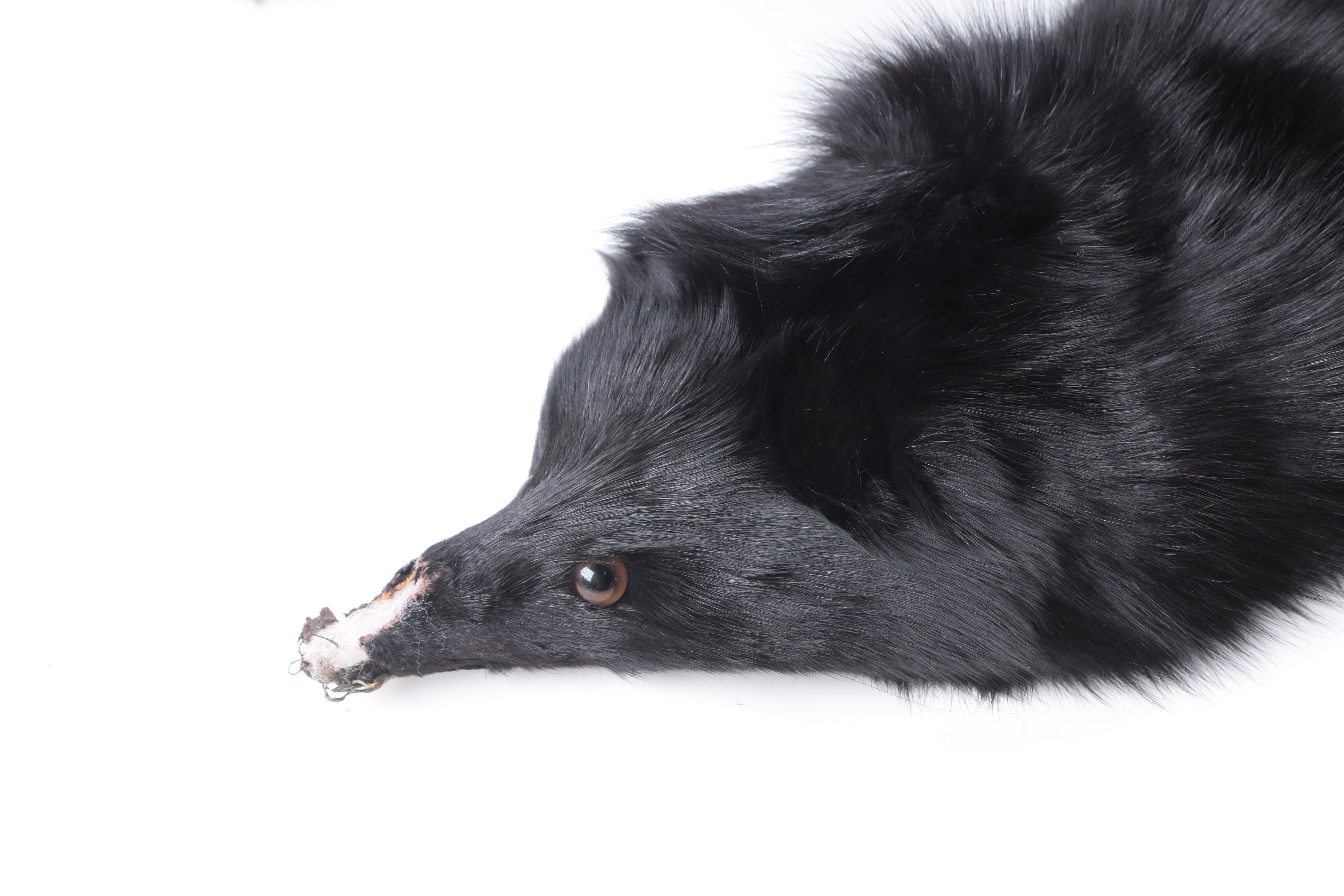 Vintage Black Fox Fur Stole