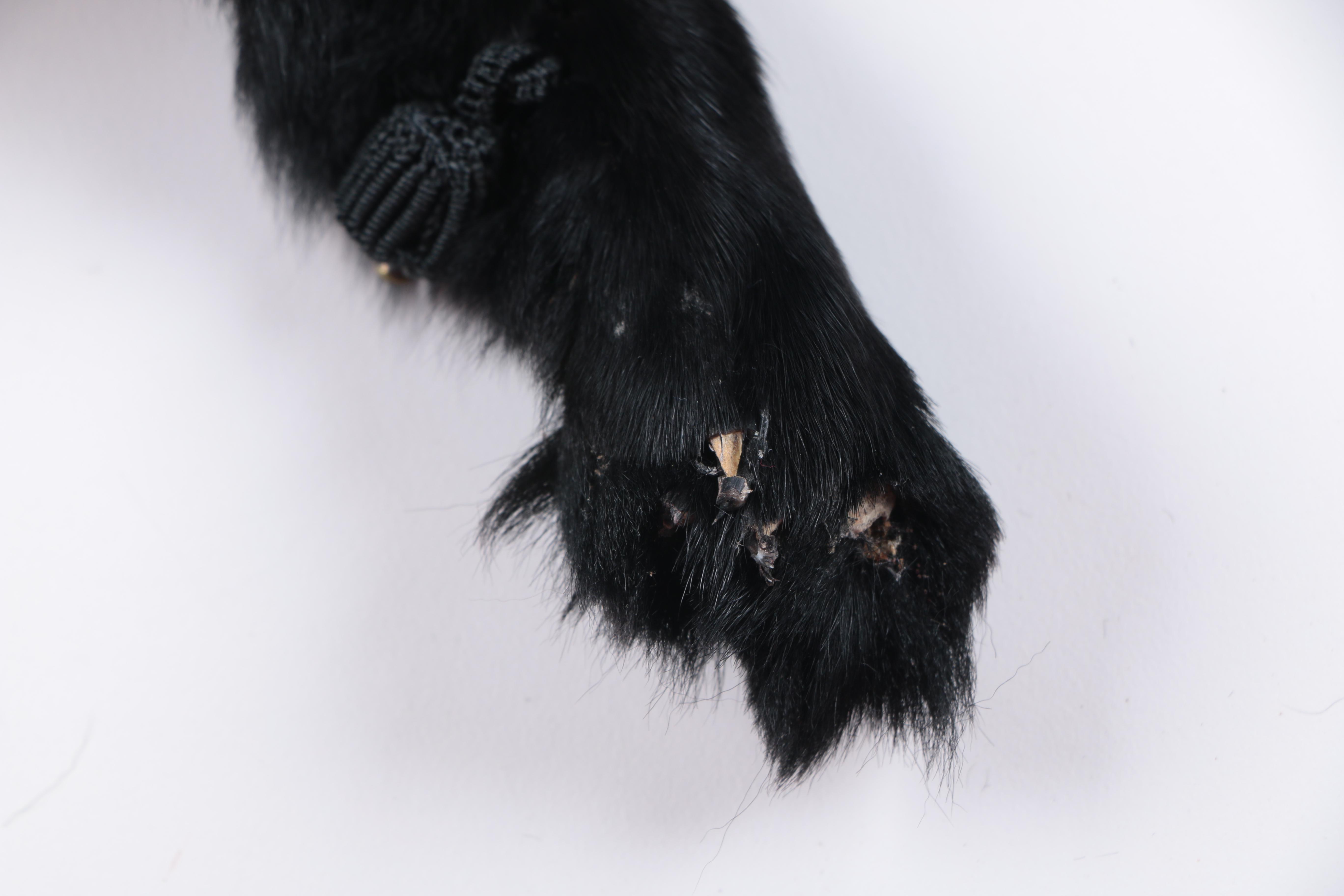 Vintage Black Fox Fur Stole
