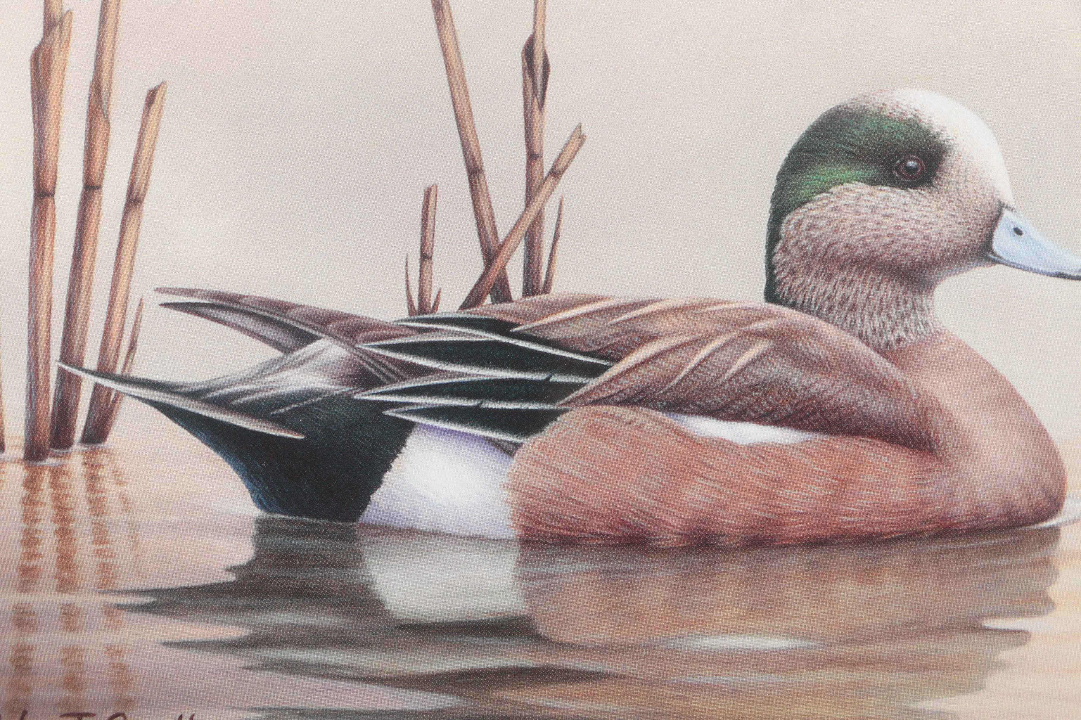 Limited Edition Offset Lithographs After Federal Duck Hunting Stamps