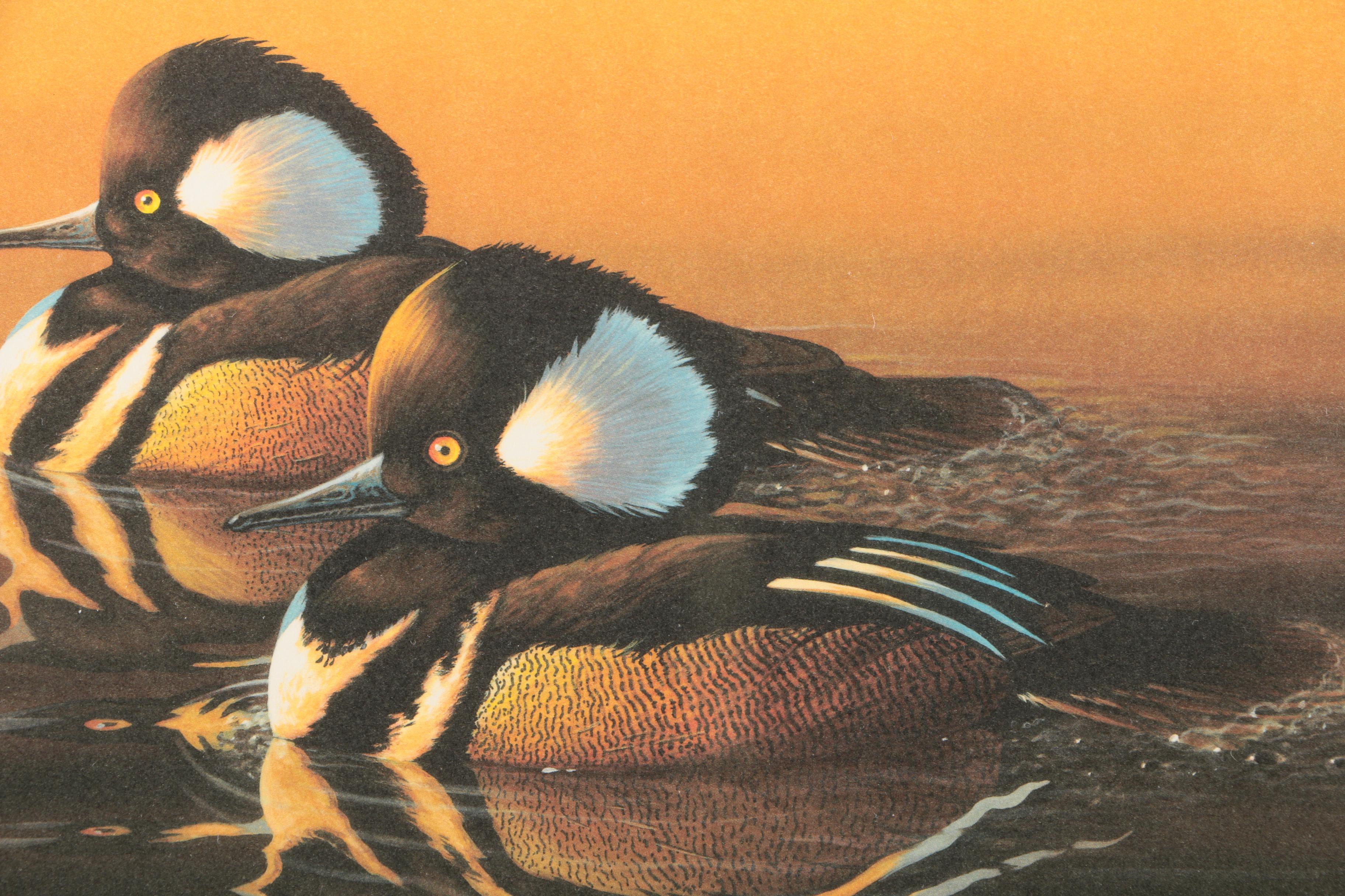 Limited Edition Offset Lithographs After Federal Duck Hunting Stamps