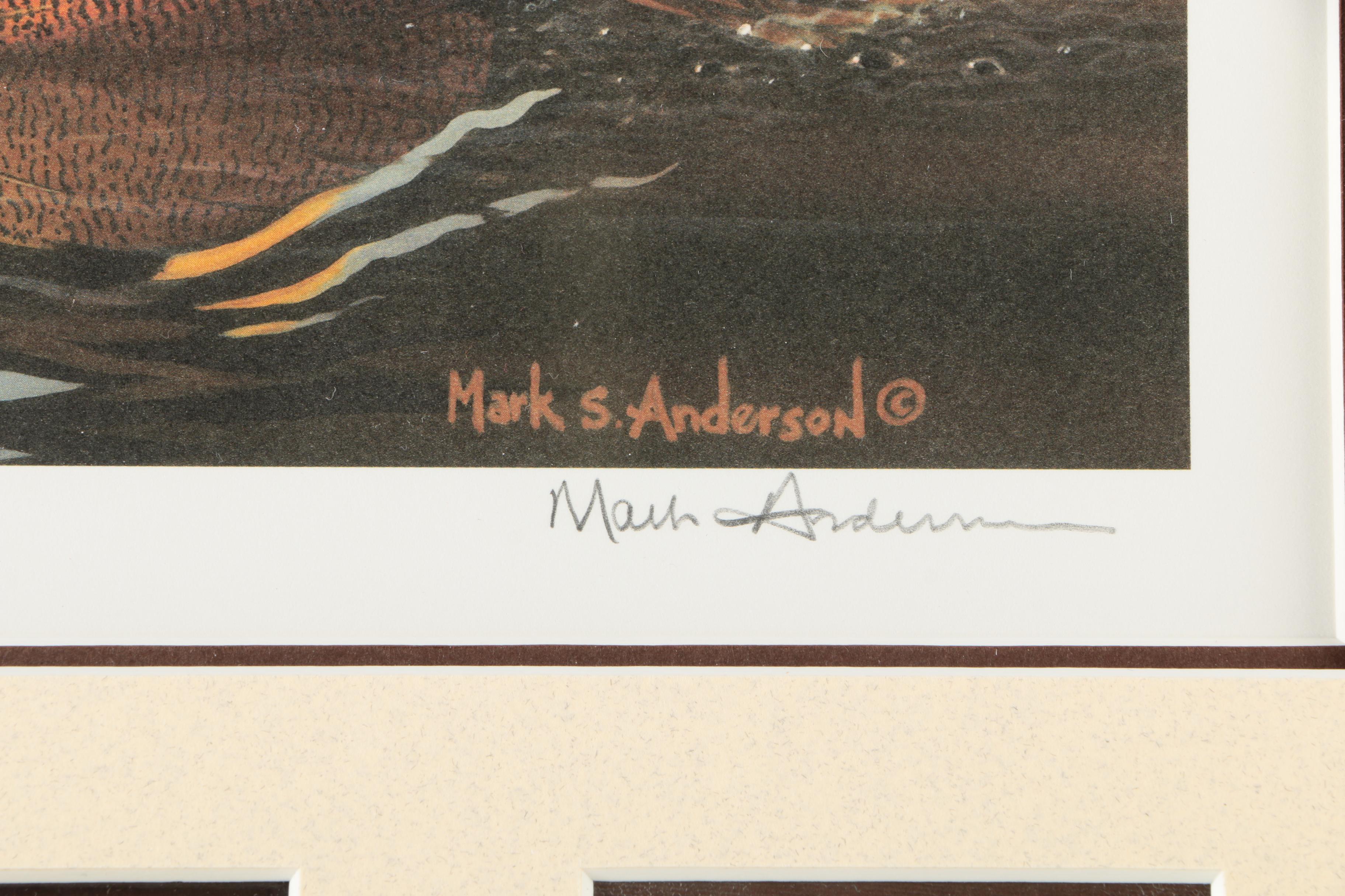 Limited Edition Offset Lithographs After Federal Duck Hunting Stamps