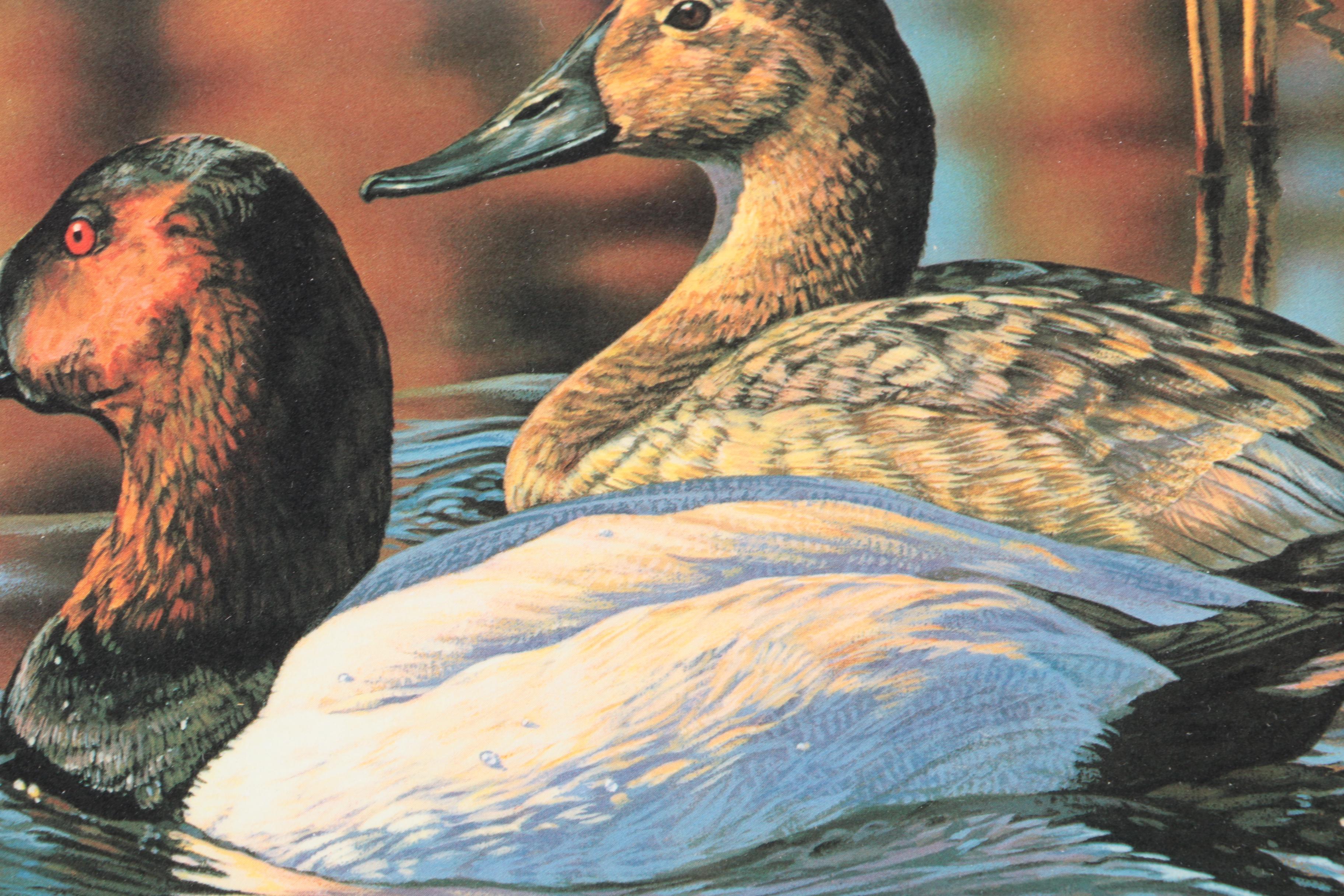Limited Edition Offset Lithograph Prints of Federal Duck Stamp Prints