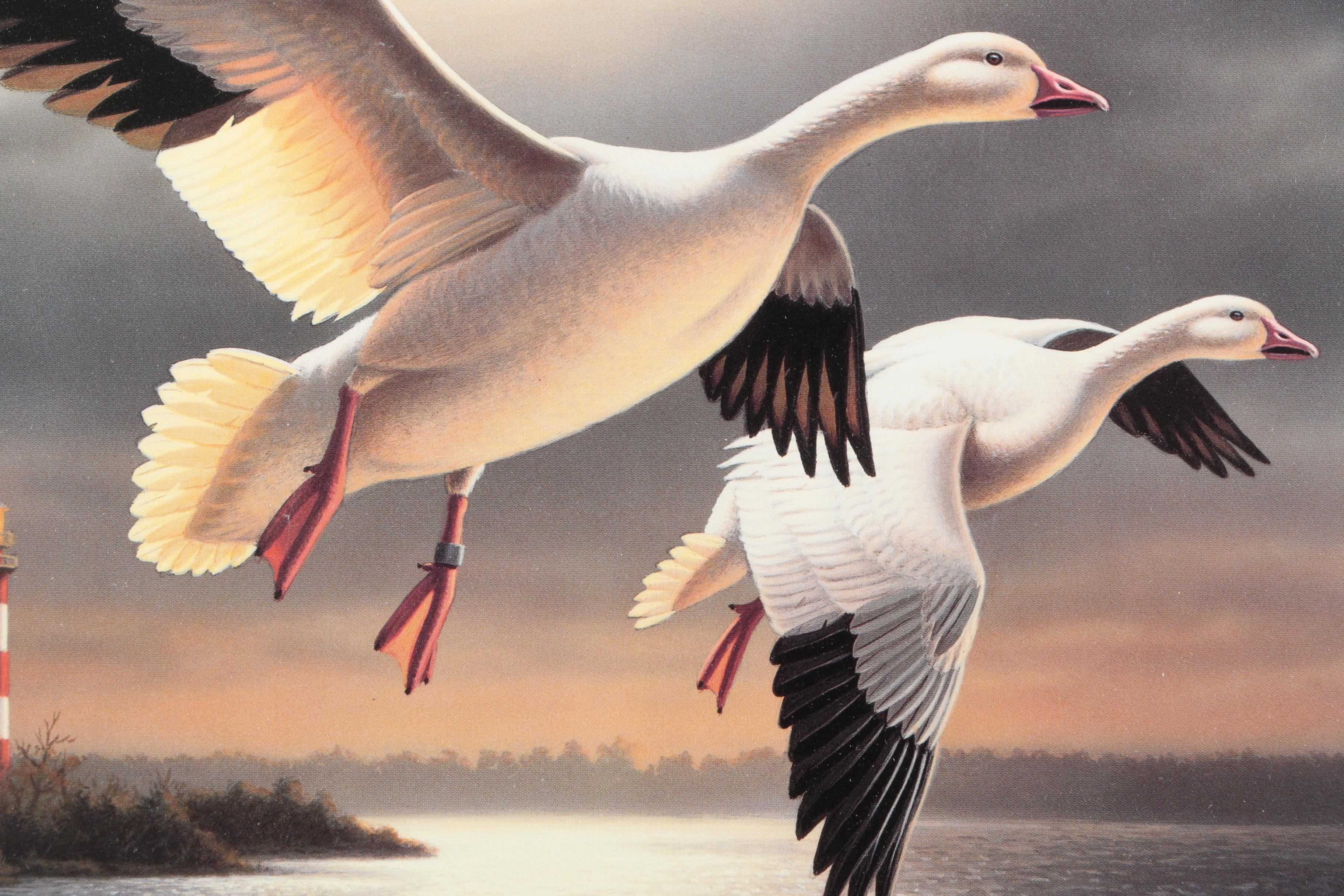 Limited Edition Offset Lithograph Prints of Federal Duck Stamp Prints