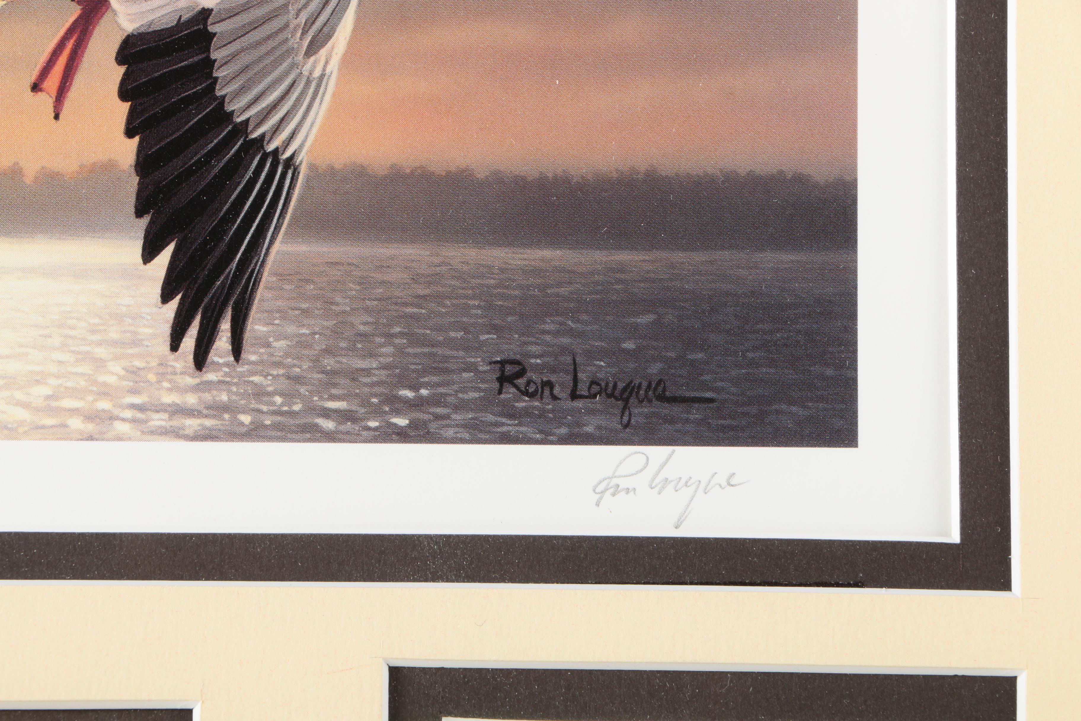 Limited Edition Offset Lithograph Prints of Federal Duck Stamp Prints